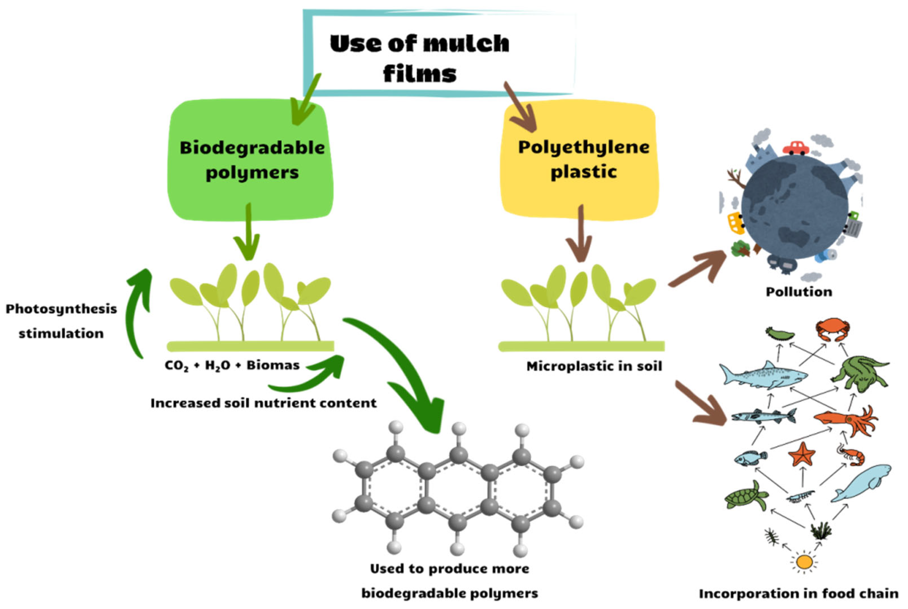 Sustainability 16 08439 g007