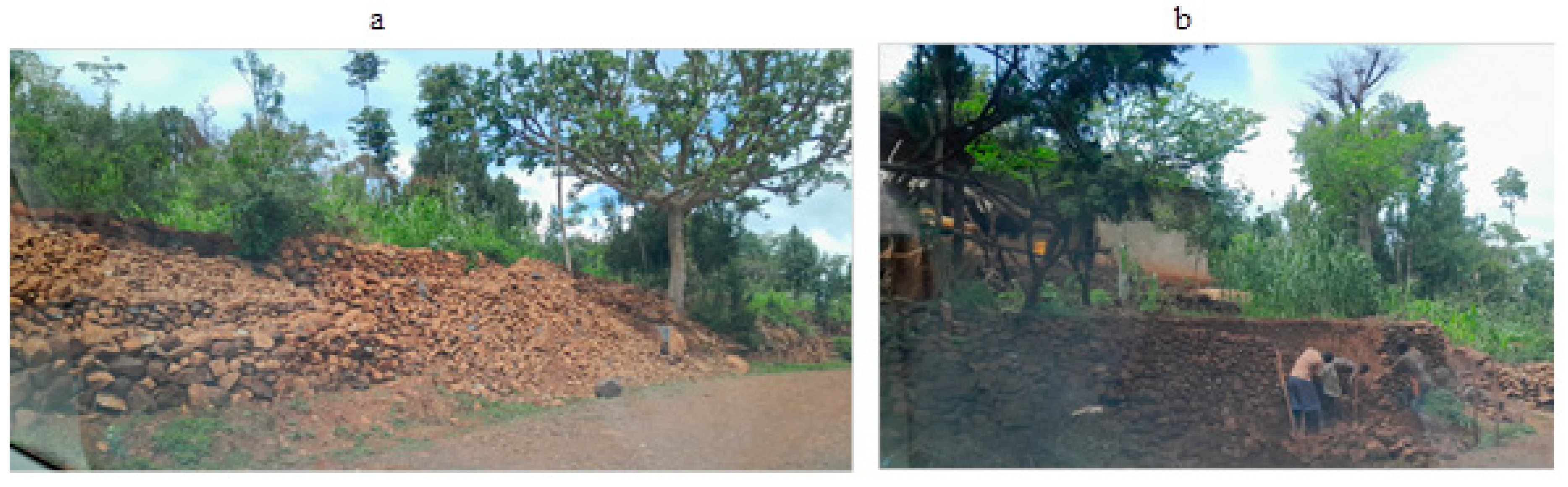 Sustainability 16 08442 sch004