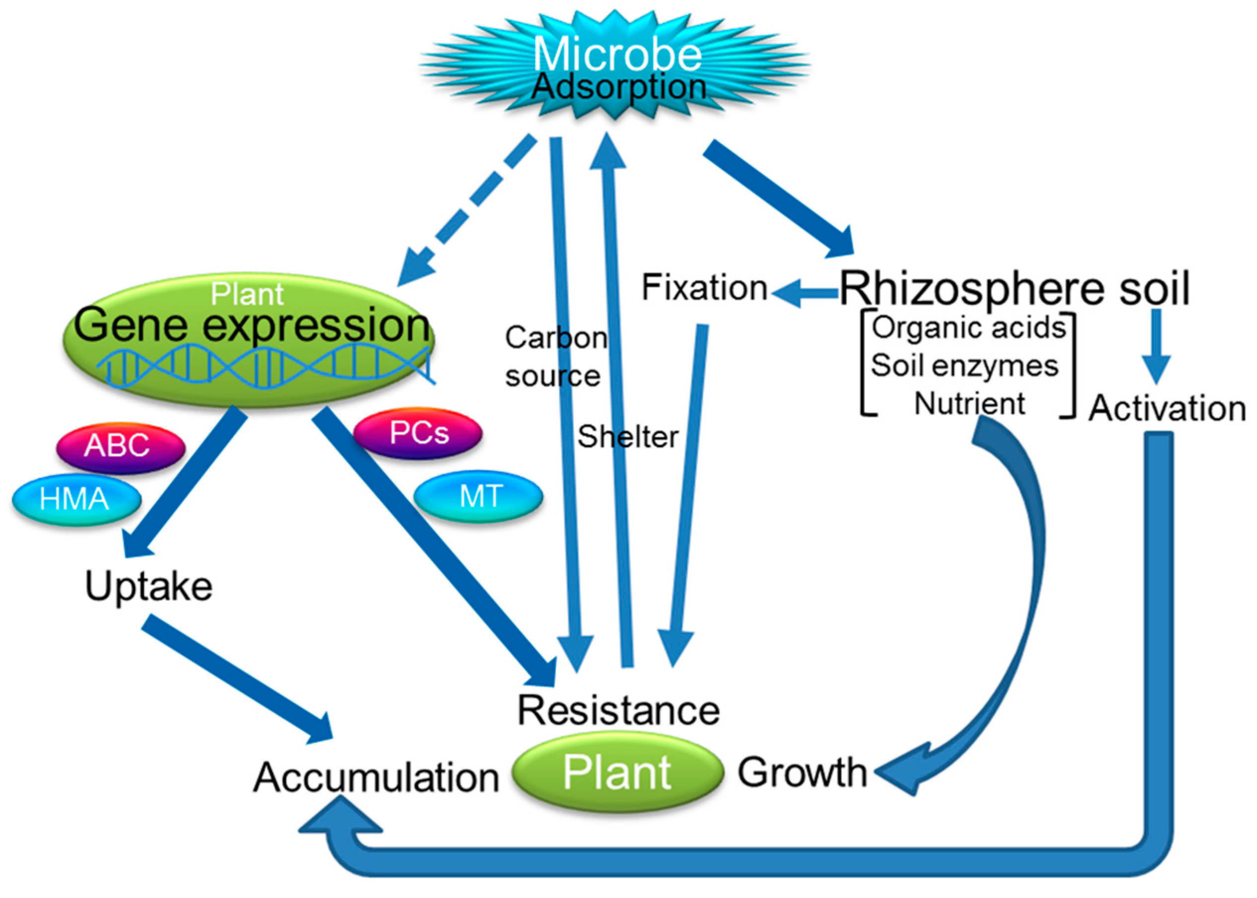 Sustainability 16 08464 g004