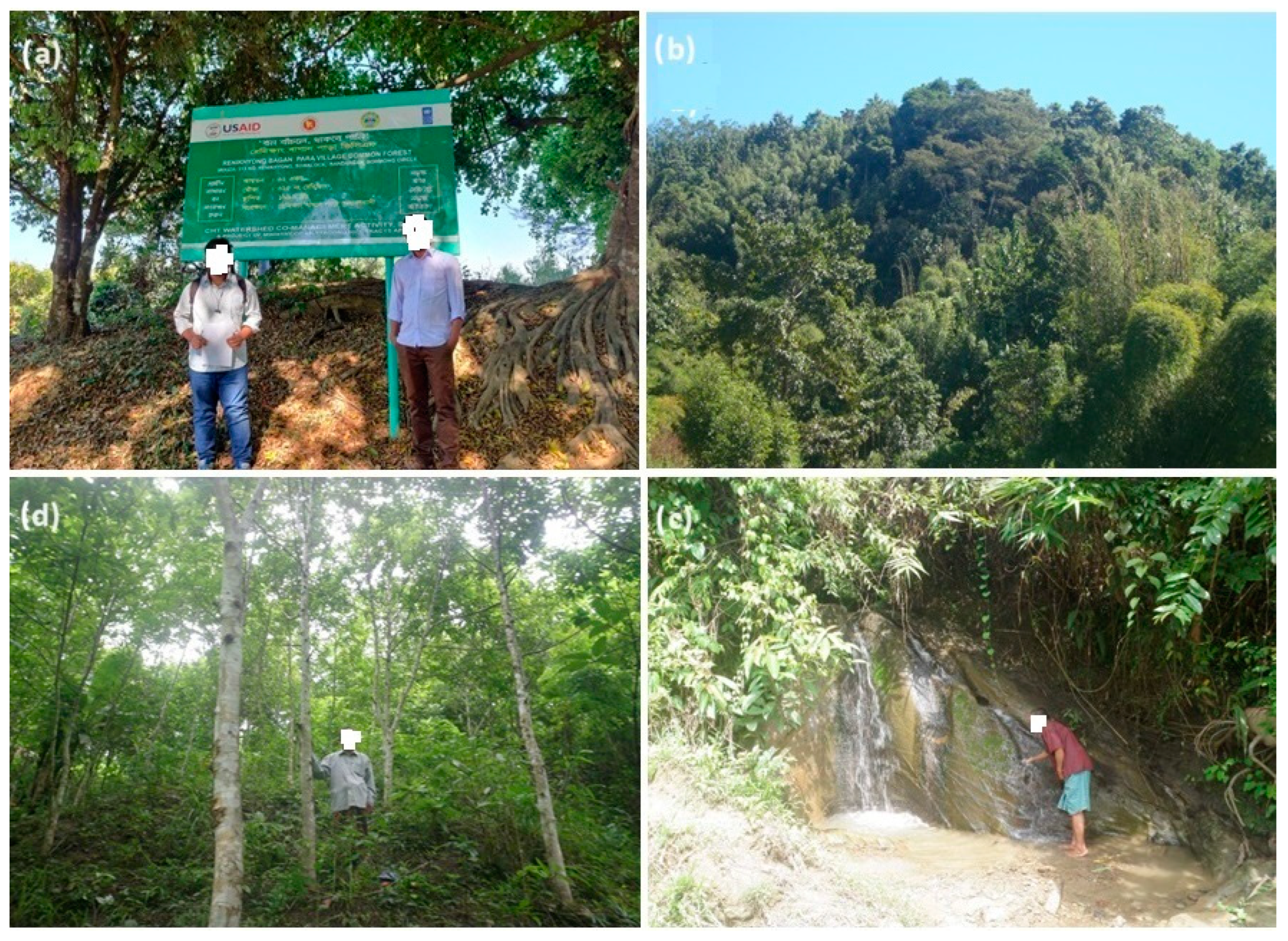 Sustainability 16 08490 g011 Sustainability 16 08490 g011