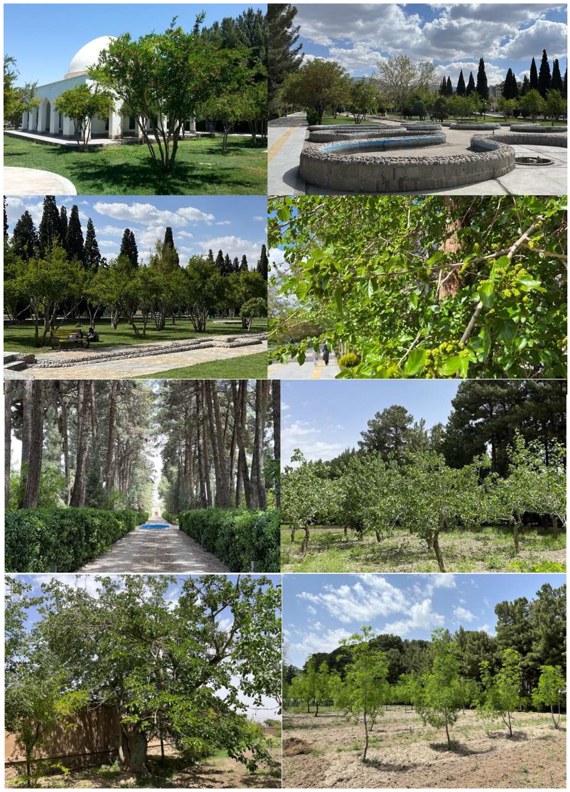 Sustainability 16 08498 g002