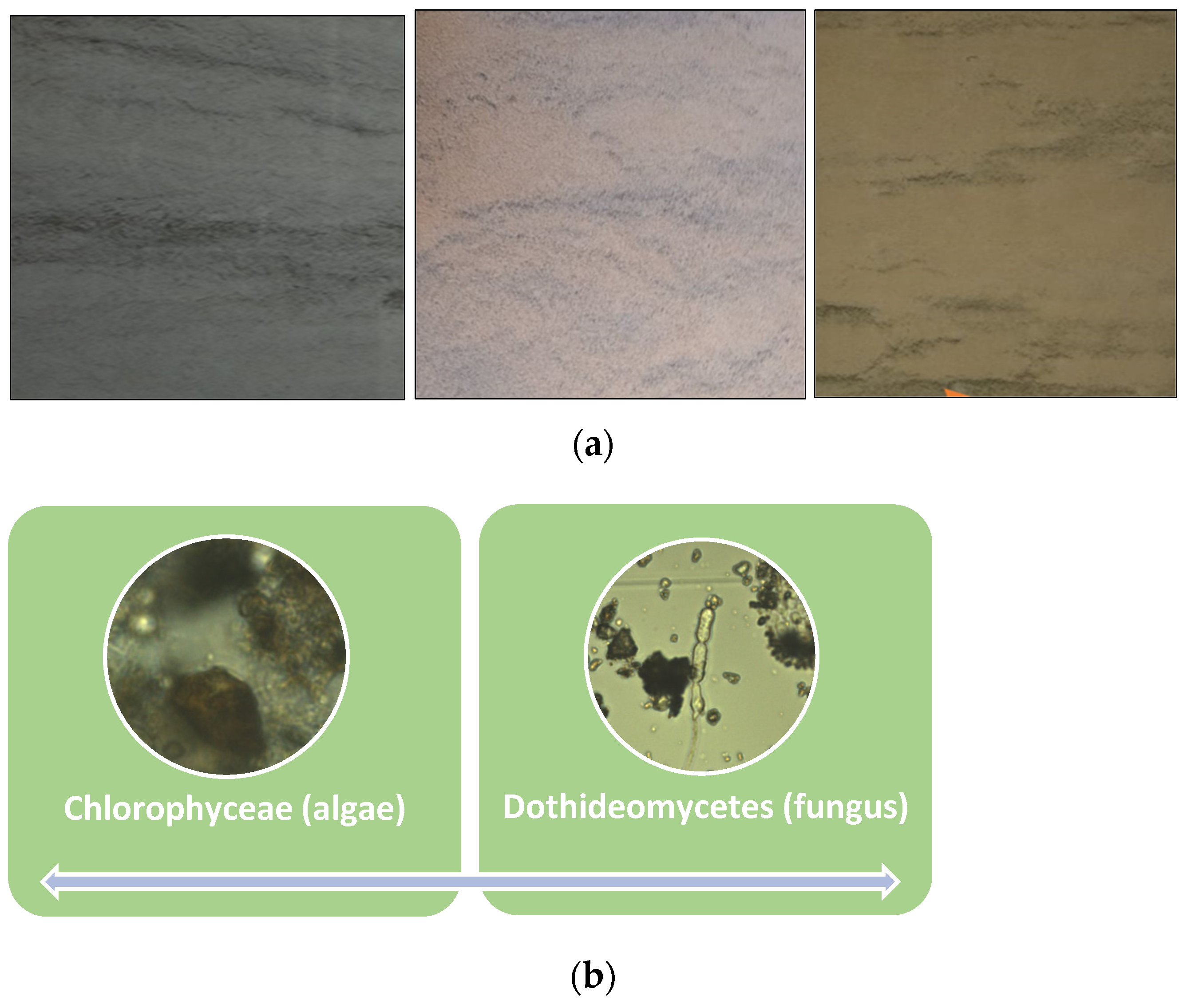 Sustainability 16 08500 g004 Sustainability 16 08500 g004