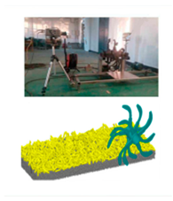 Sustainability 16 08508 i040