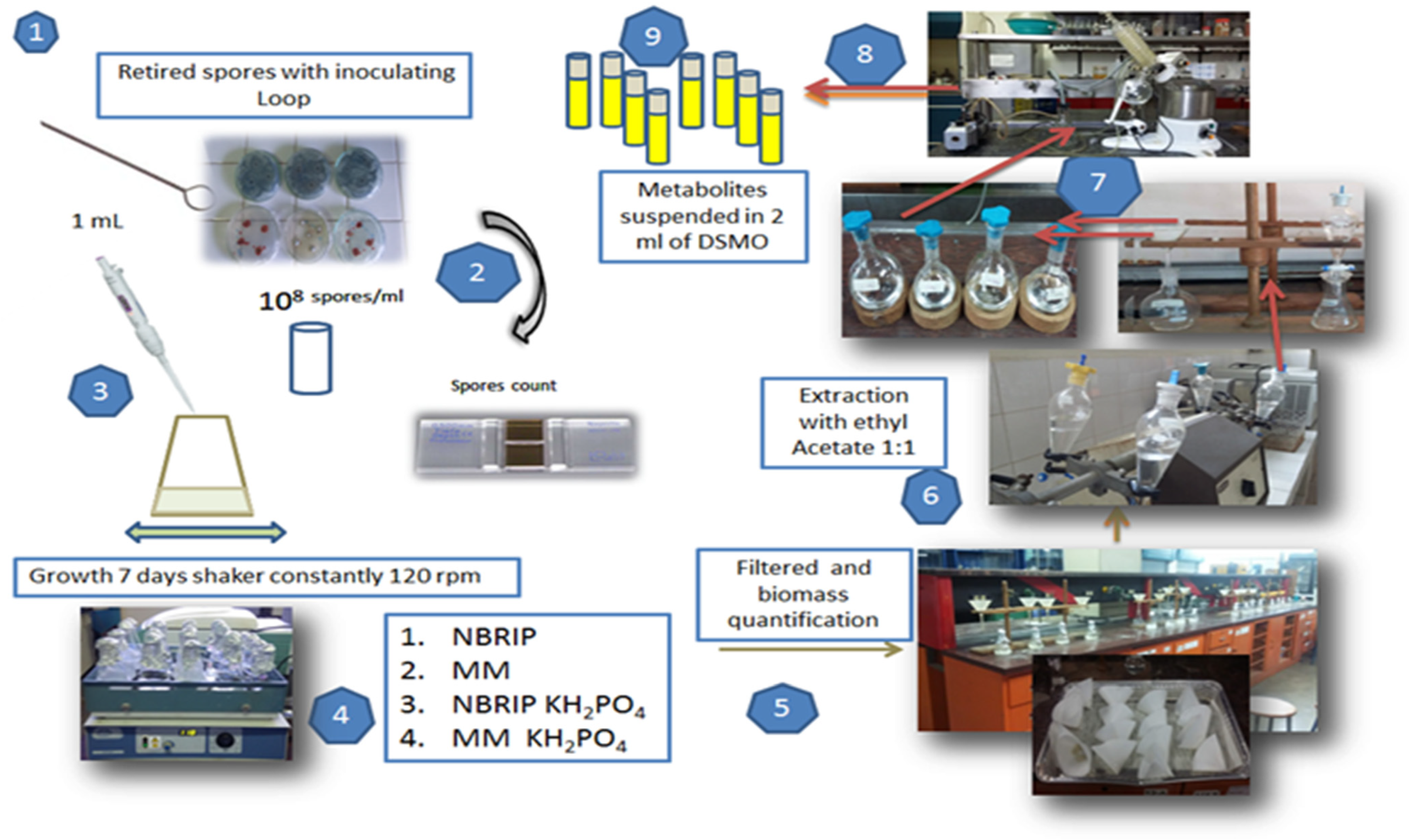 Sustainability 16 08552 g001 Sustainability 16 08552 g001