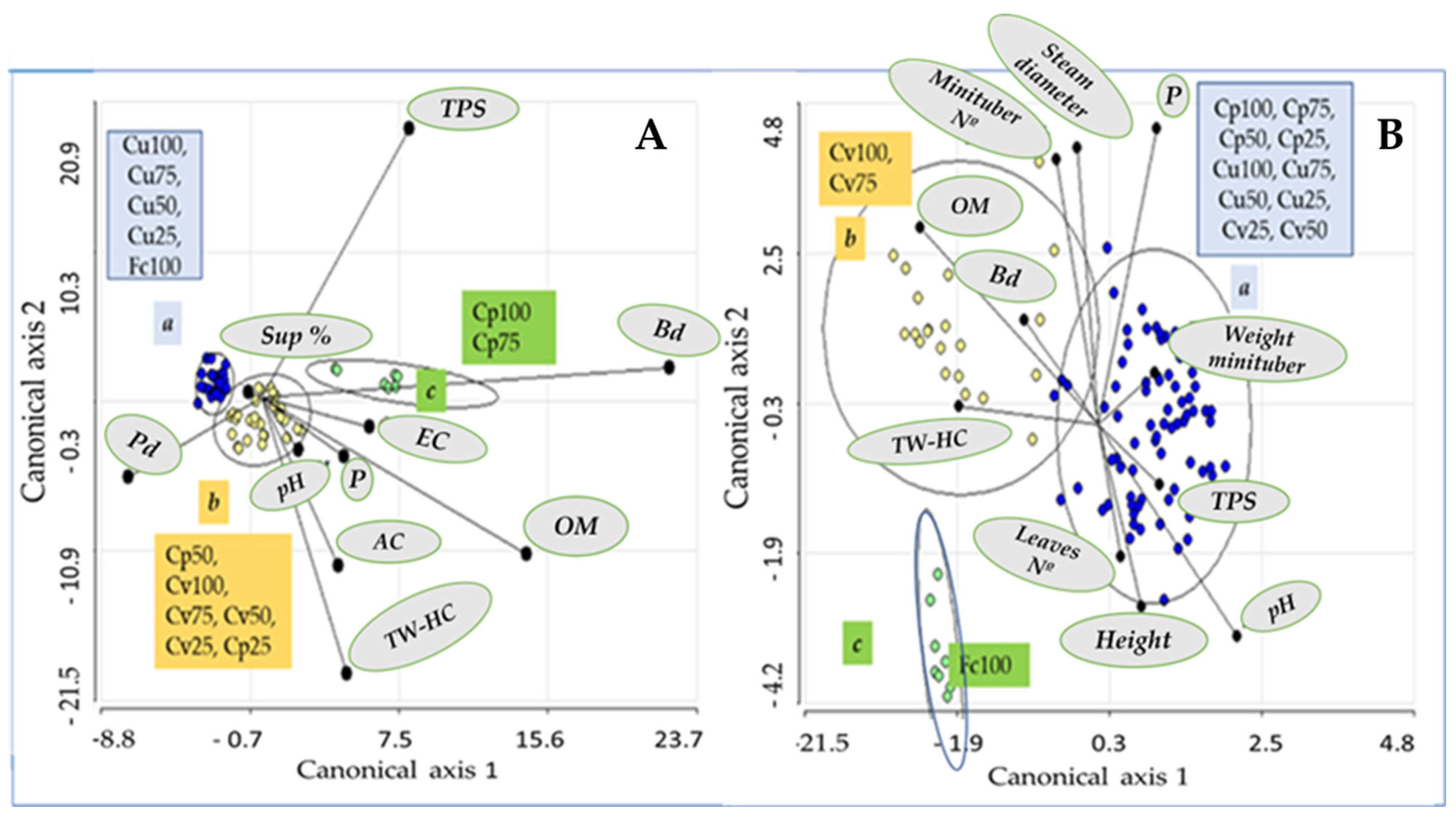 Sustainability 16 08552 g007 Sustainability 16 08552 g007
