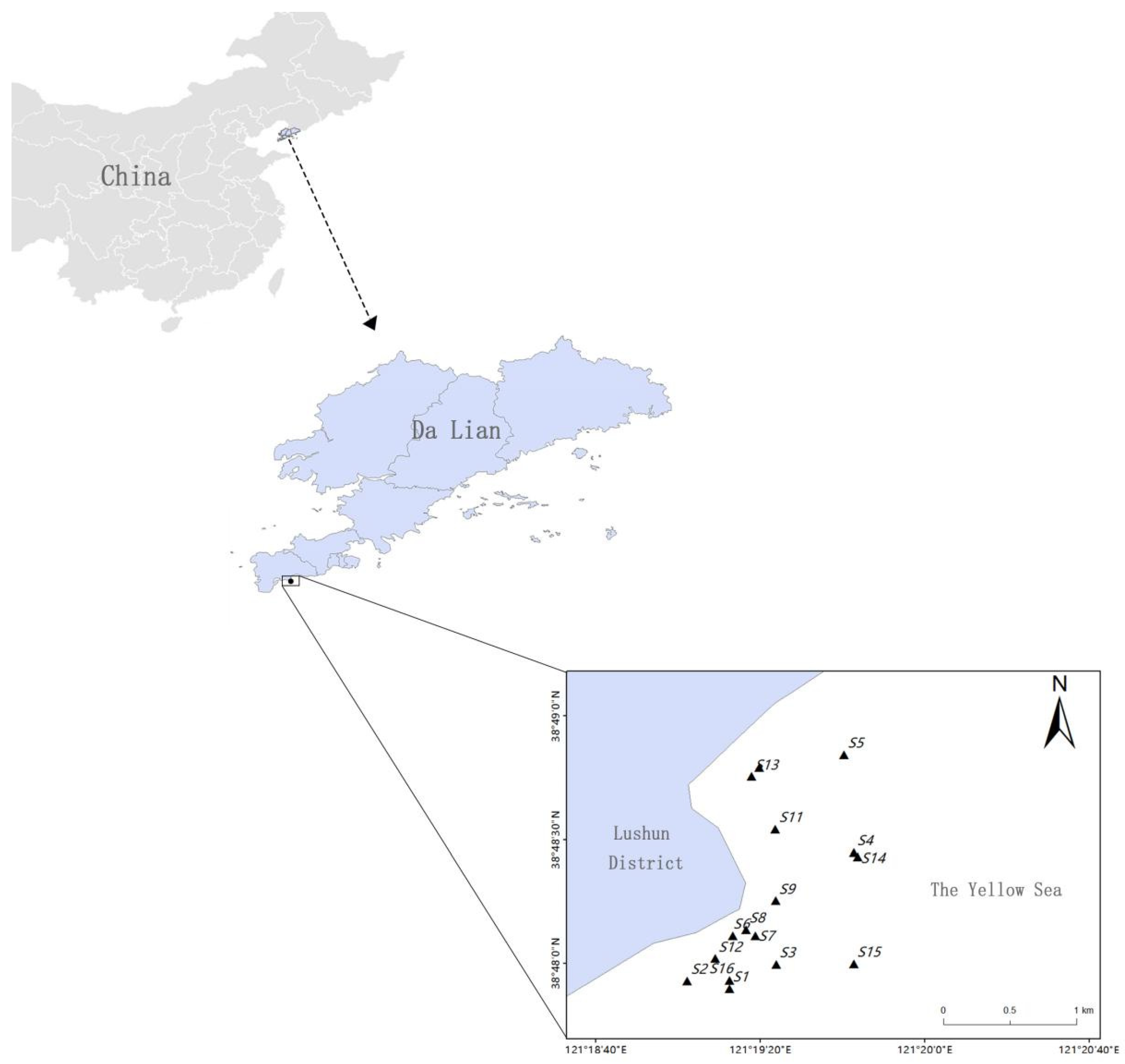 Sustainability 16 08590 g001