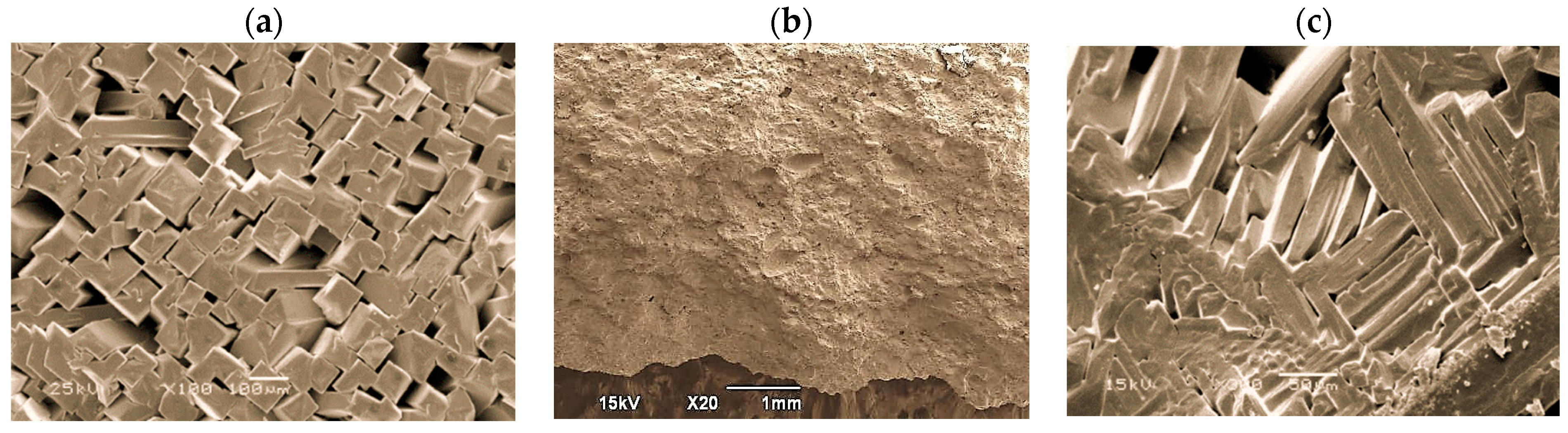 Sustainability 16 08595 g008