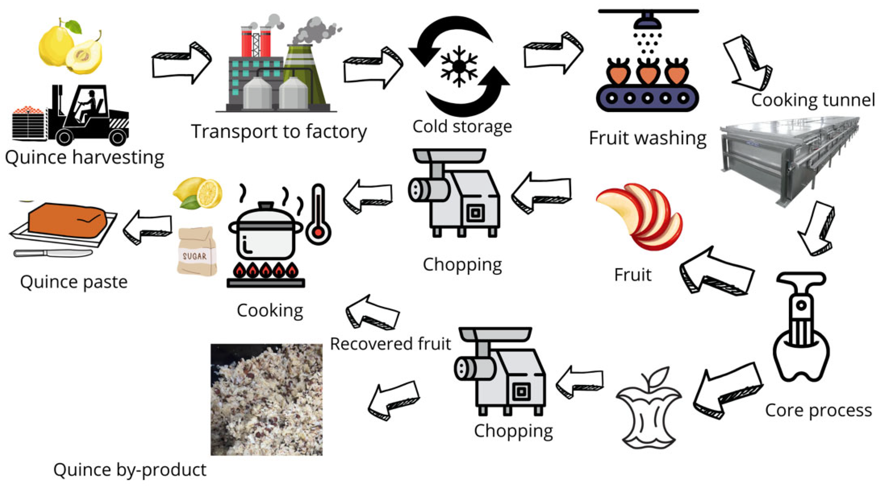 Sustainability 16 08596 g001