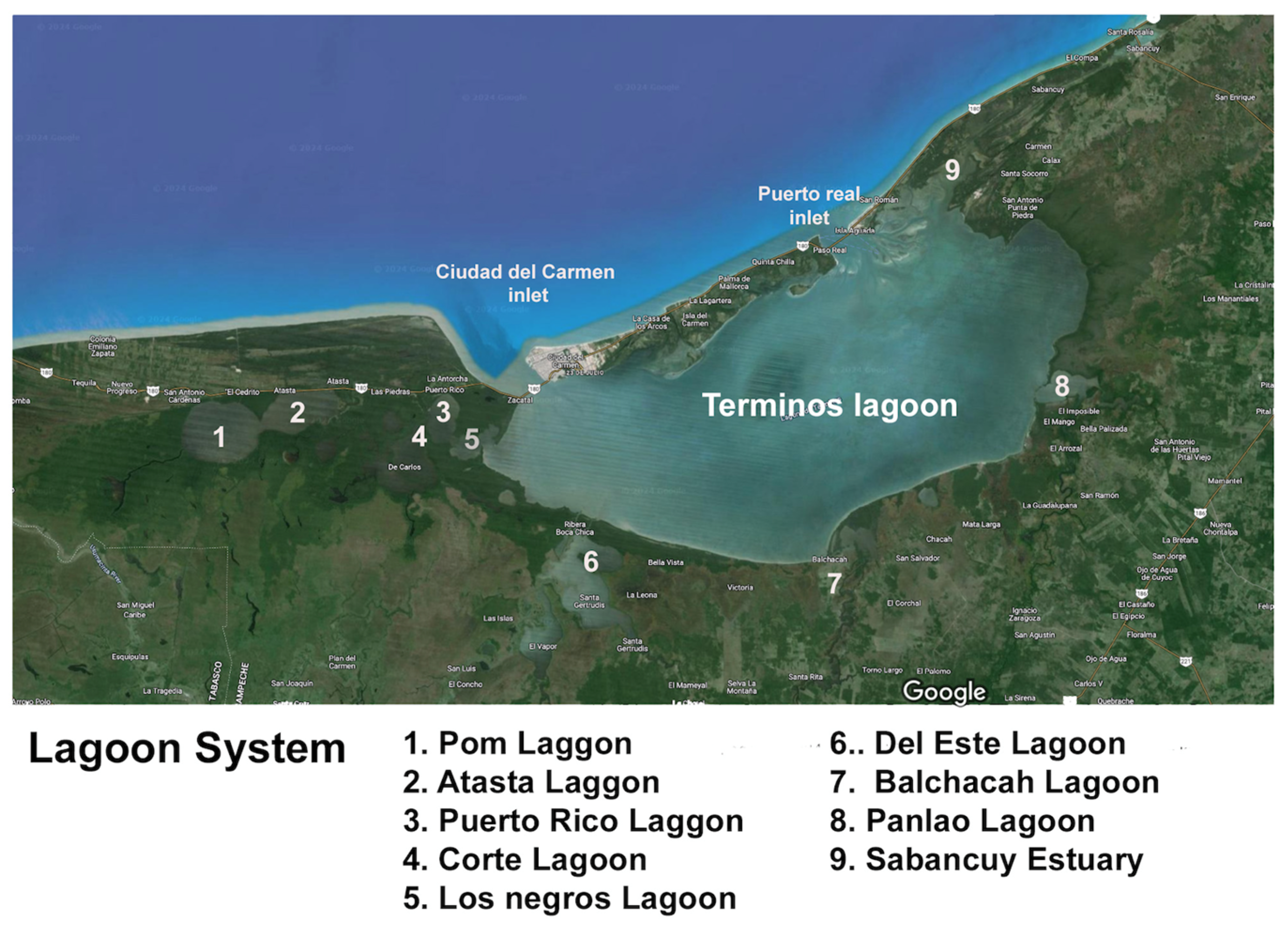 Sustainability 16 08601 g003