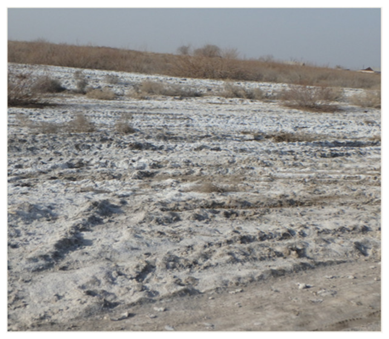 Sustainability 16 08605 g002