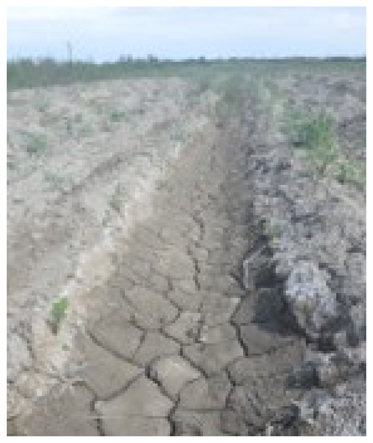 Sustainability 16 08605 g003