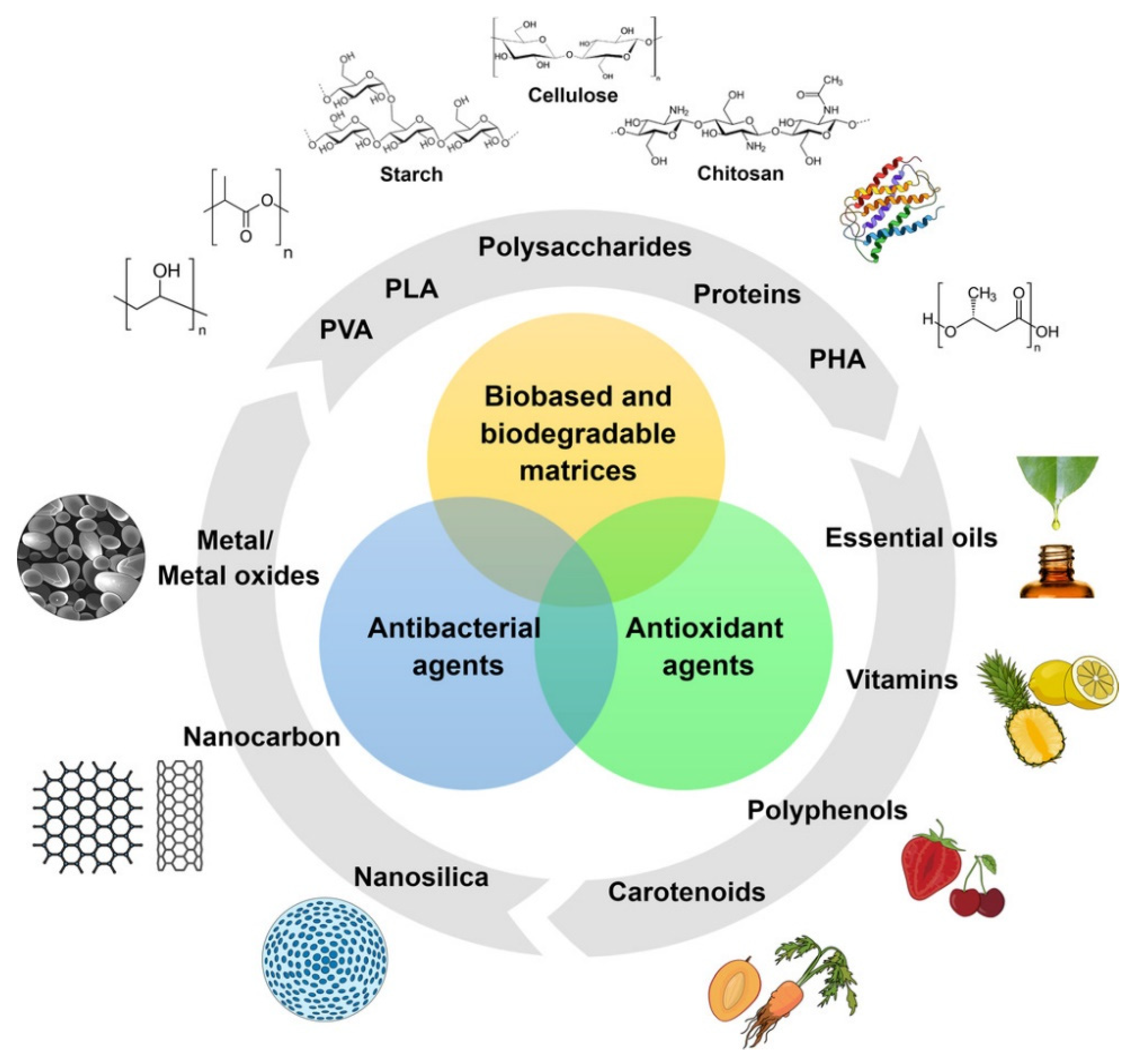 Sustainability 16 08632 g001