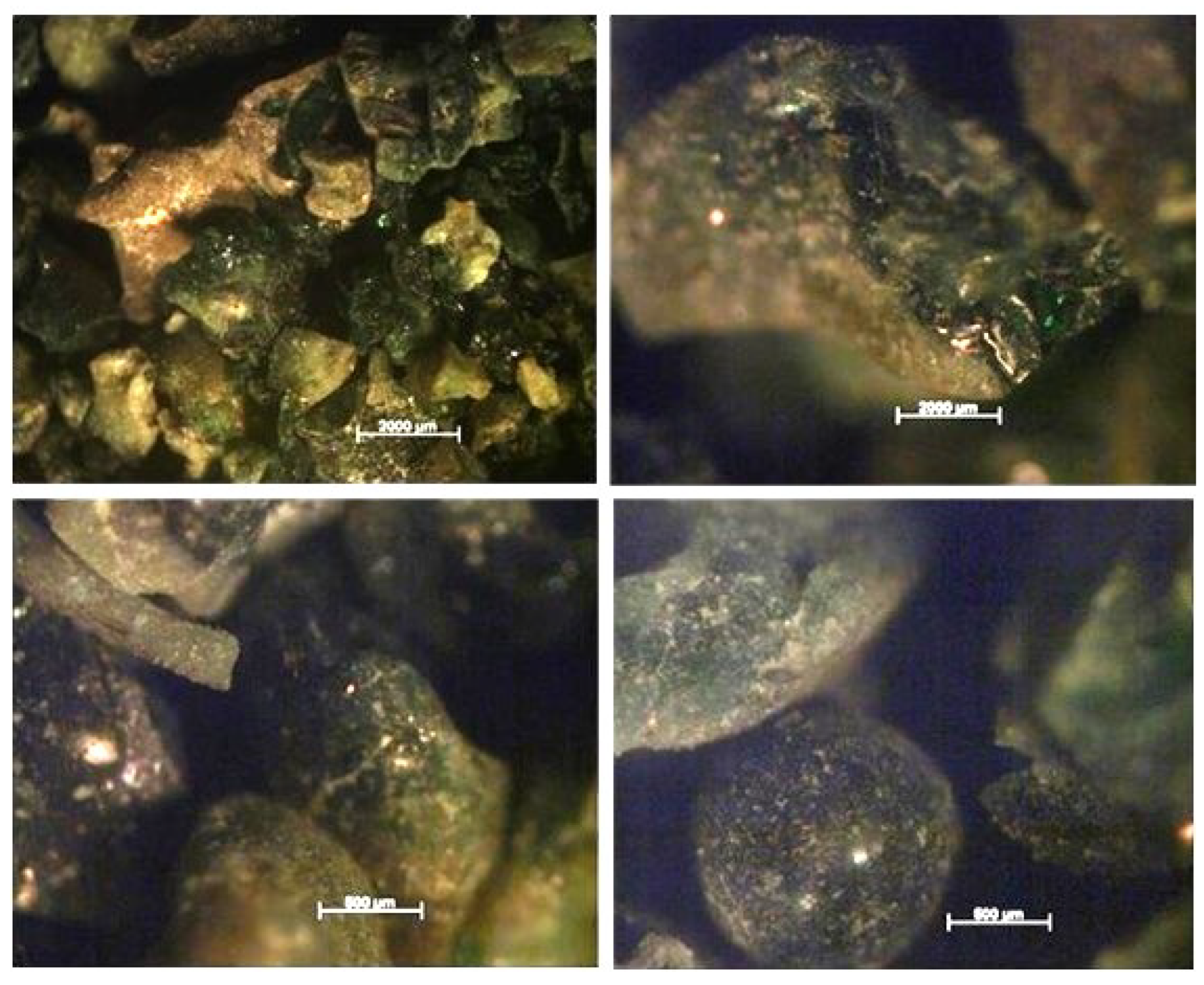 Sustainability 16 08642 g009