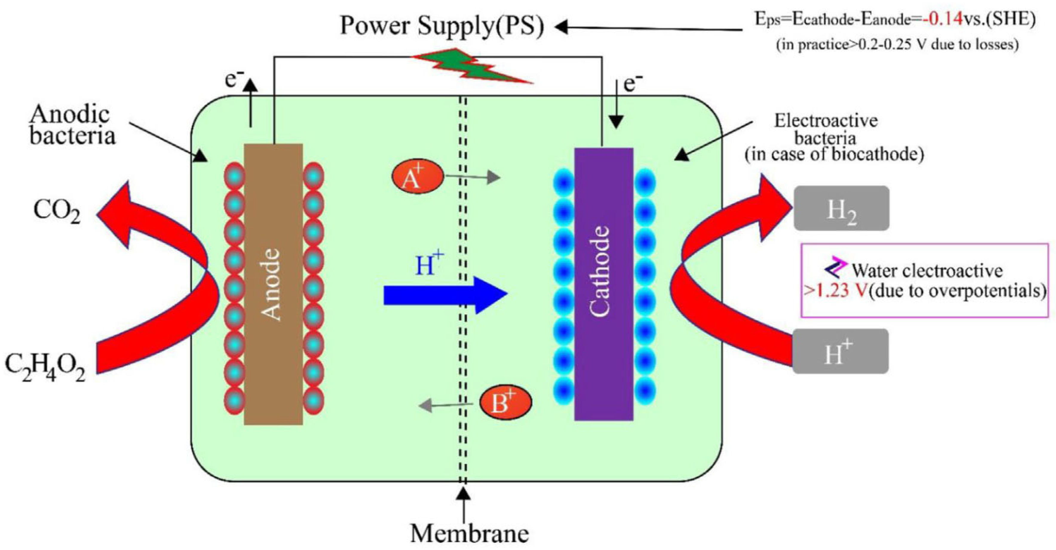 Sustainability 16 08659 g003