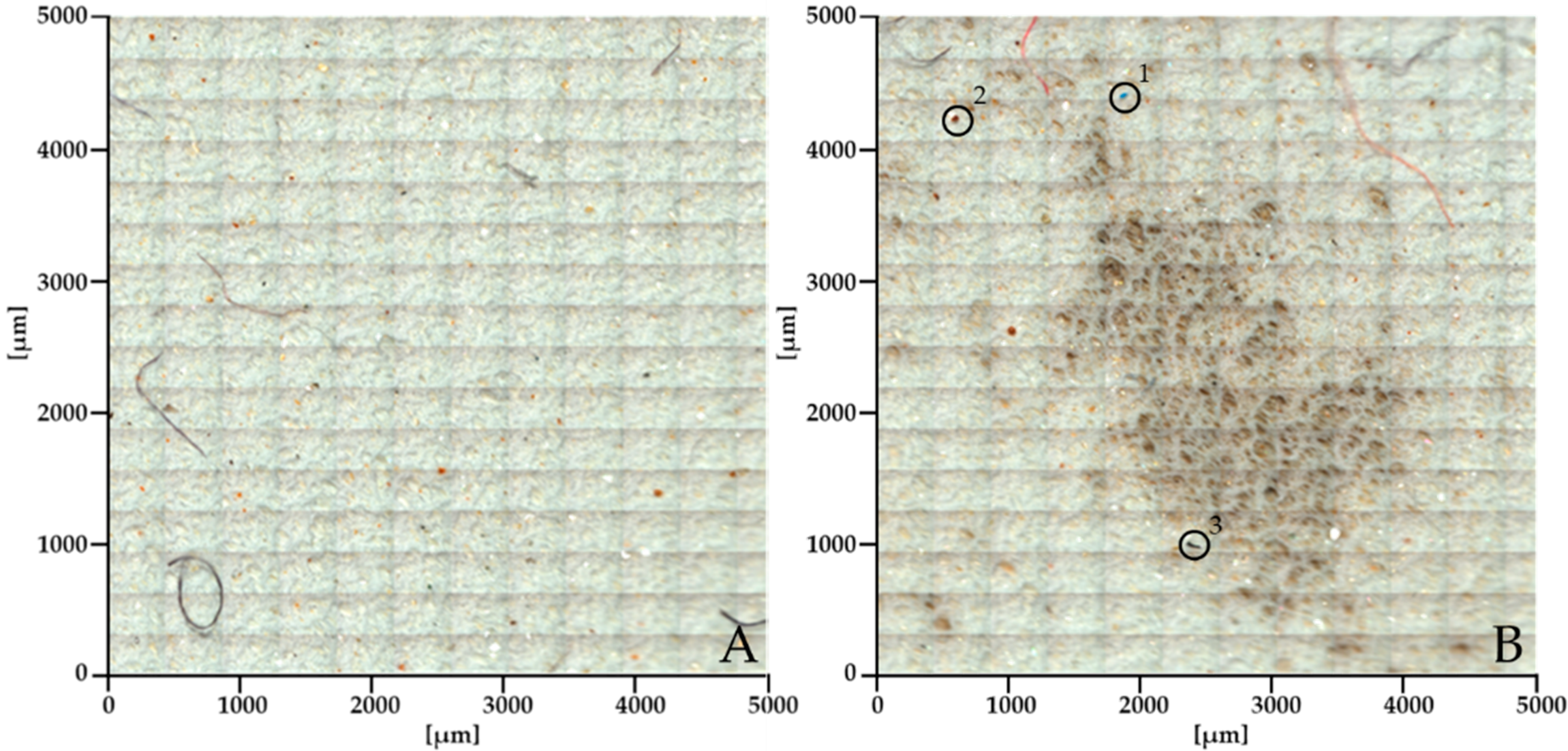Sustainability 16 08678 g002