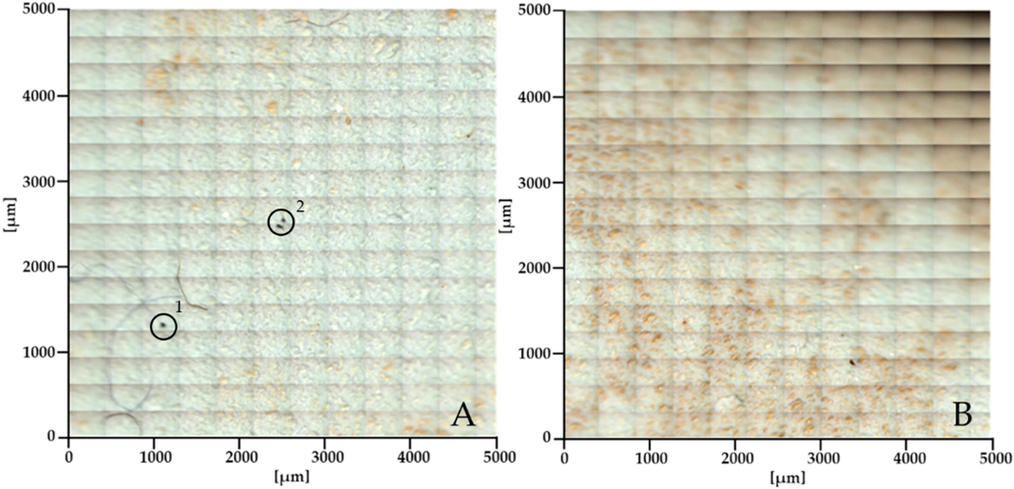 Sustainability 16 08678 g004