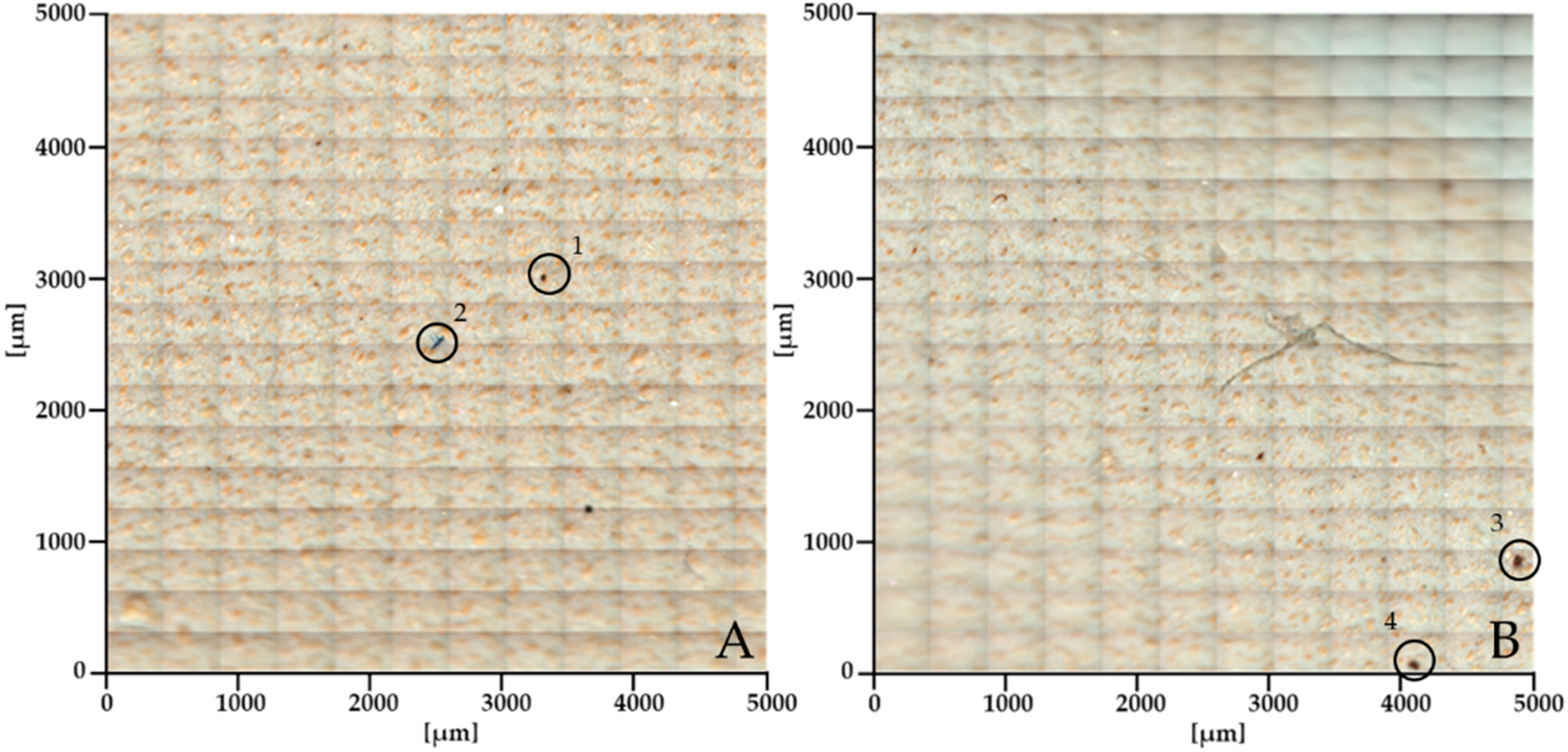 Sustainability 16 08678 g006