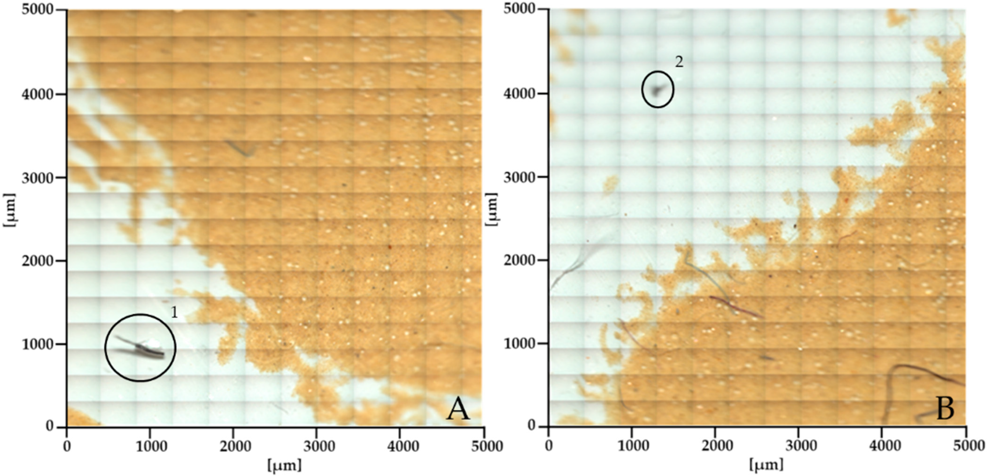Sustainability 16 08678 g007