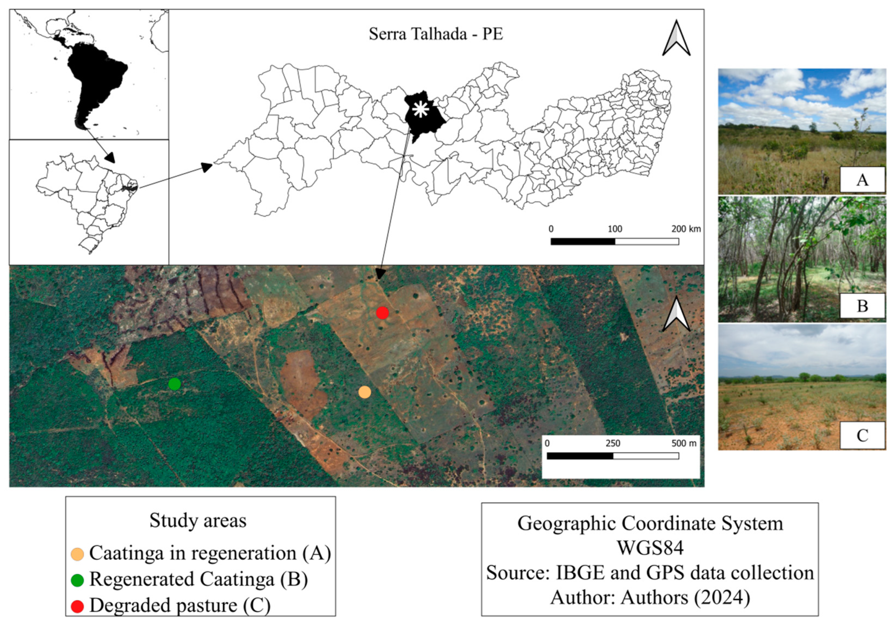 Sustainability 16 08737 g001