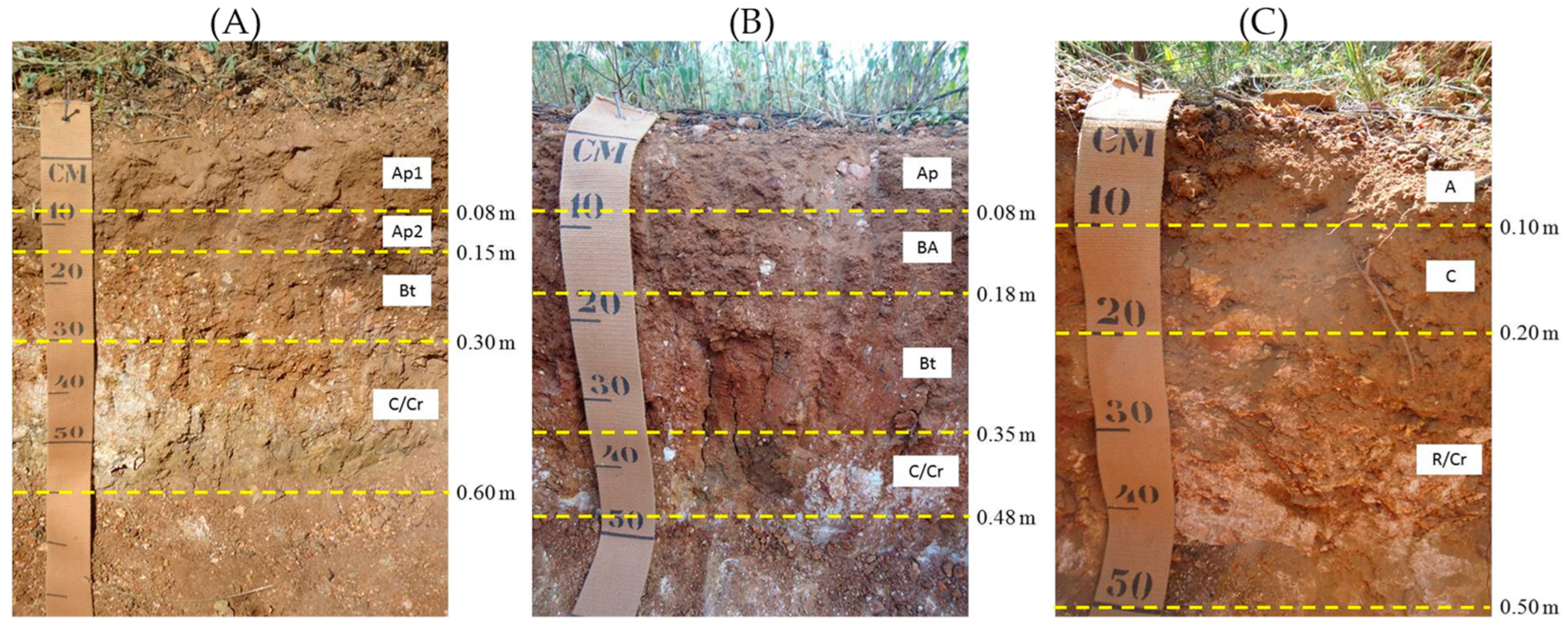 Sustainability 16 08737 g002
