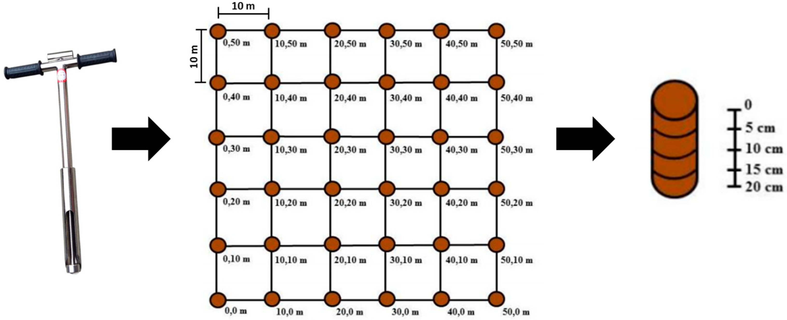 Sustainability 16 08737 g003