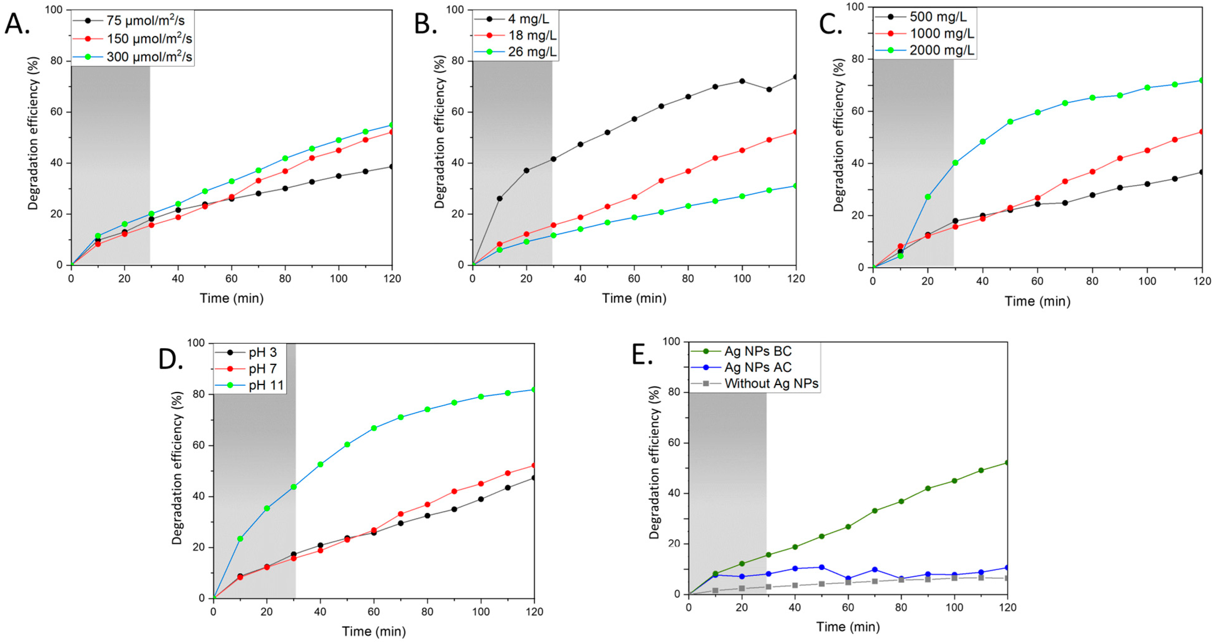 Sustainability 16 08758 g006