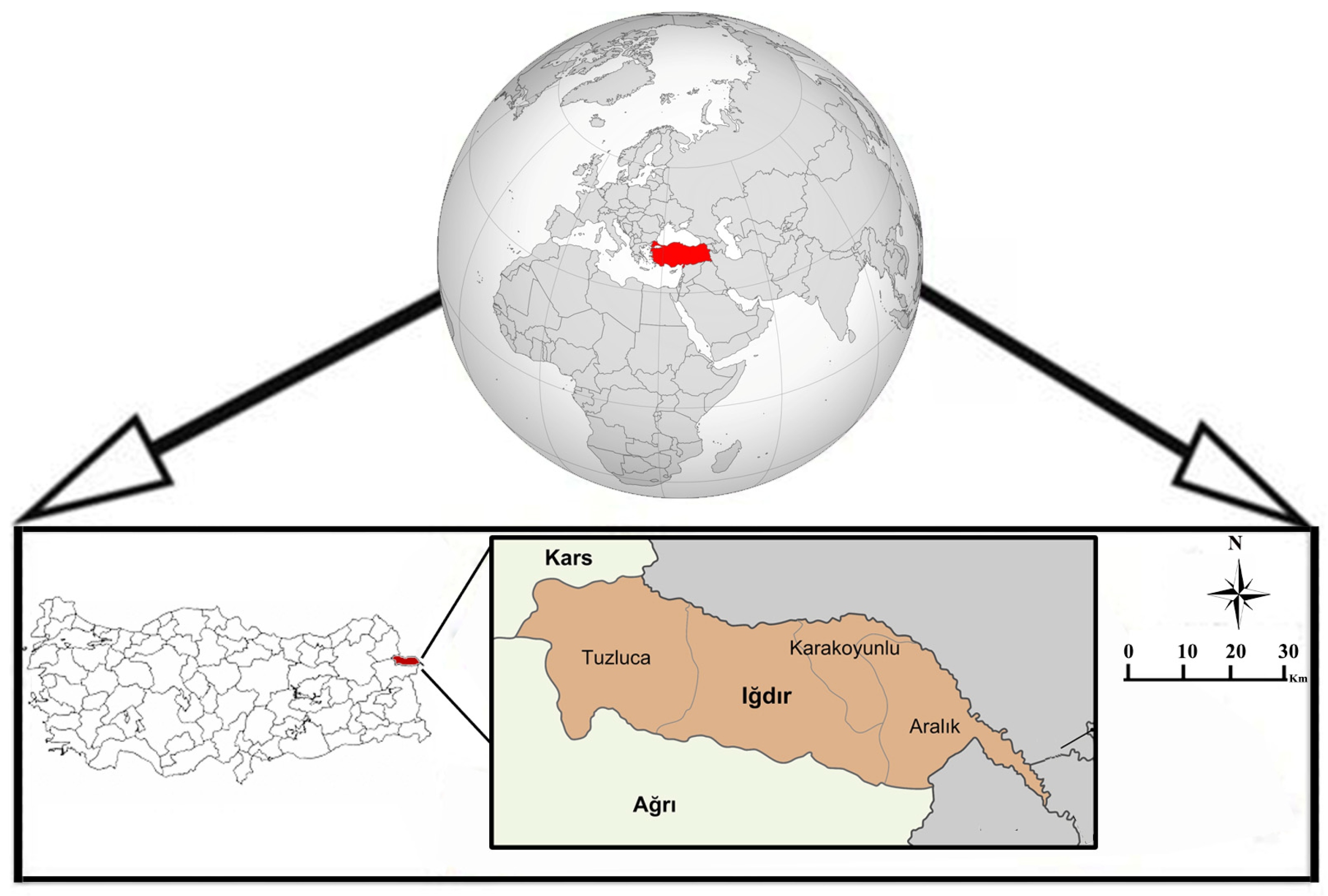 Sustainability 16 08775 g001