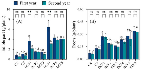 Effects of Combined Biochar and Chemical Fertilizer