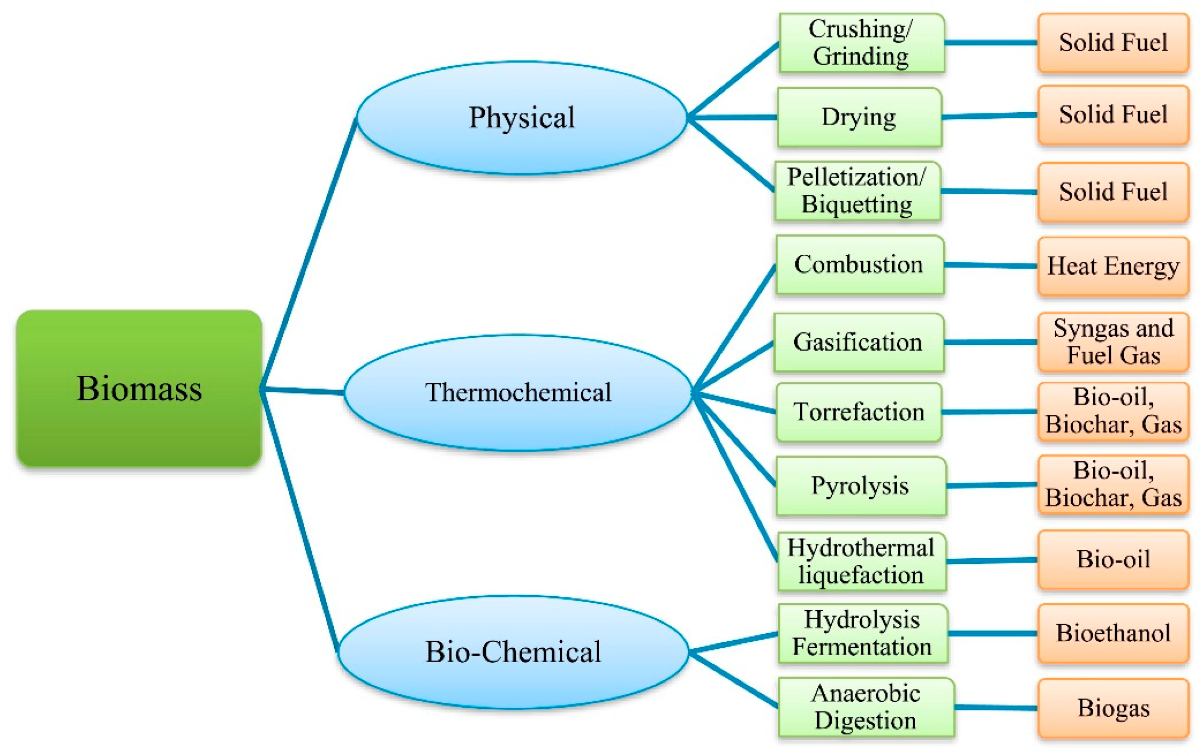 Sustainability 16 08803 g002
