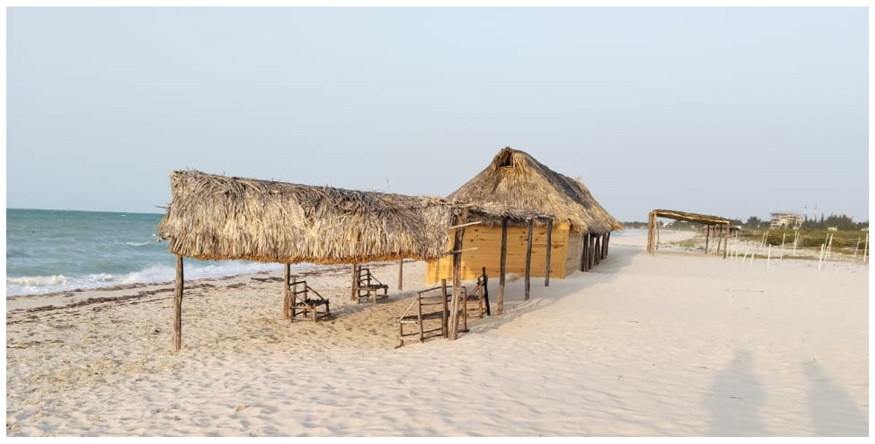 Sustainability 16 08807 g001