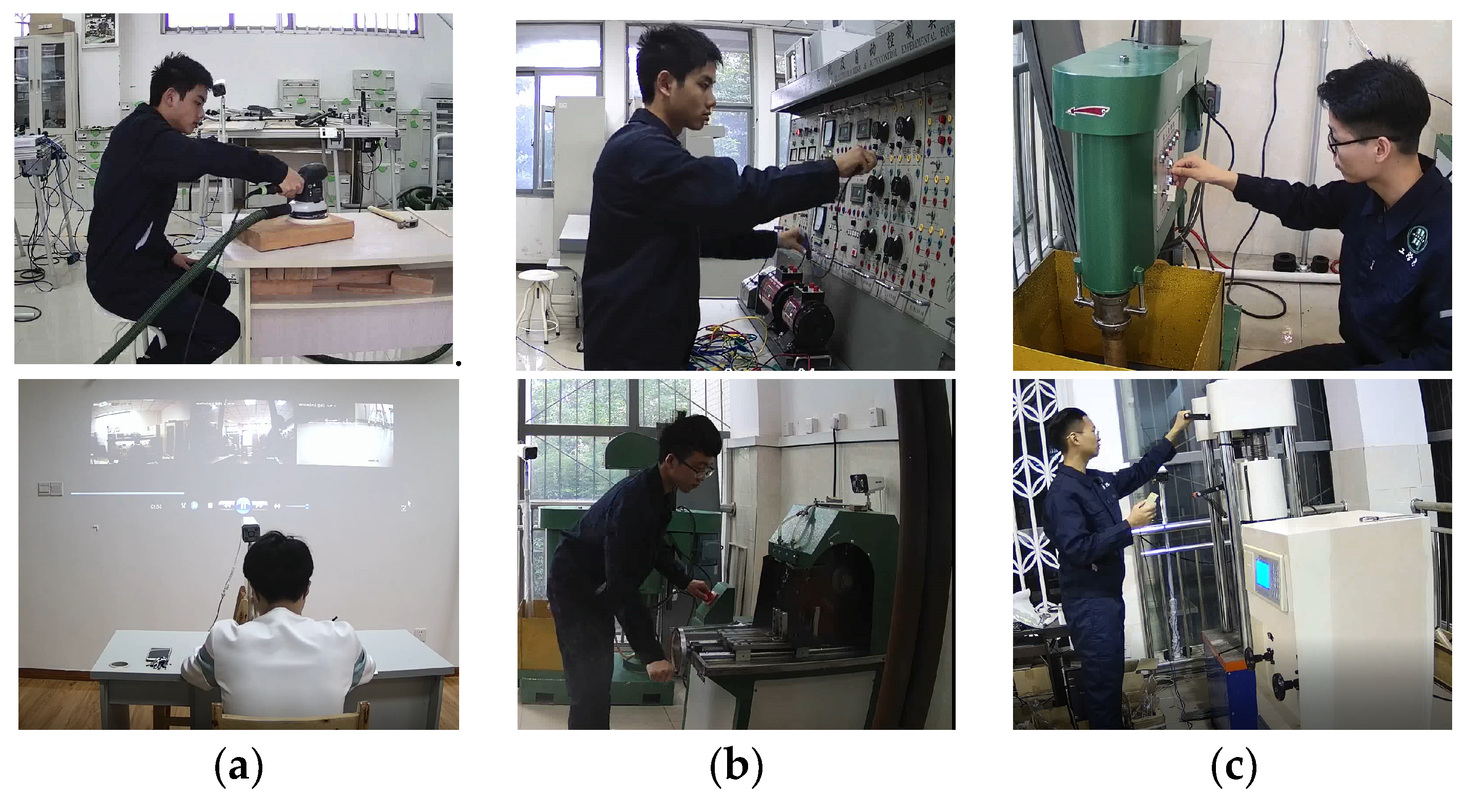 Sustainability 16 08829 g001