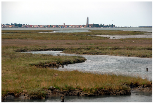 Sustainability 16 08835 i001