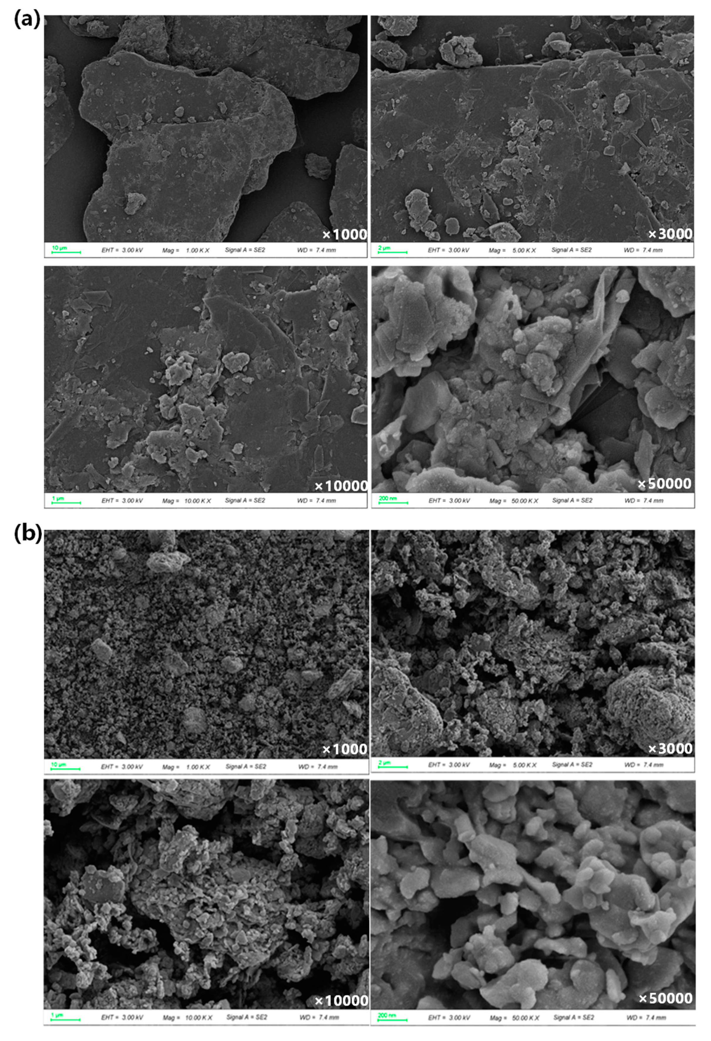 Sustainability 16 08840 g010
