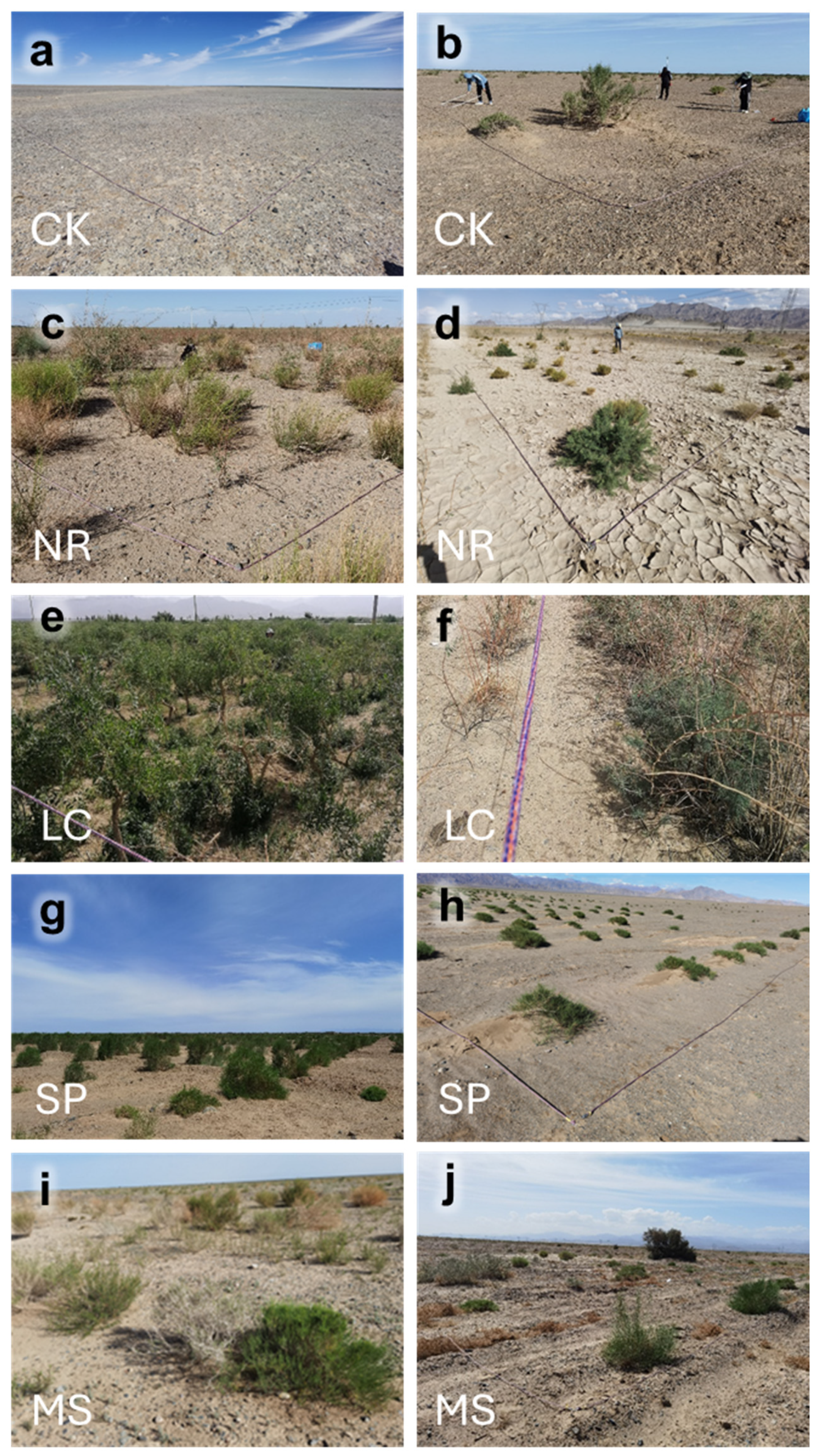 Sustainability 16 08845 g001