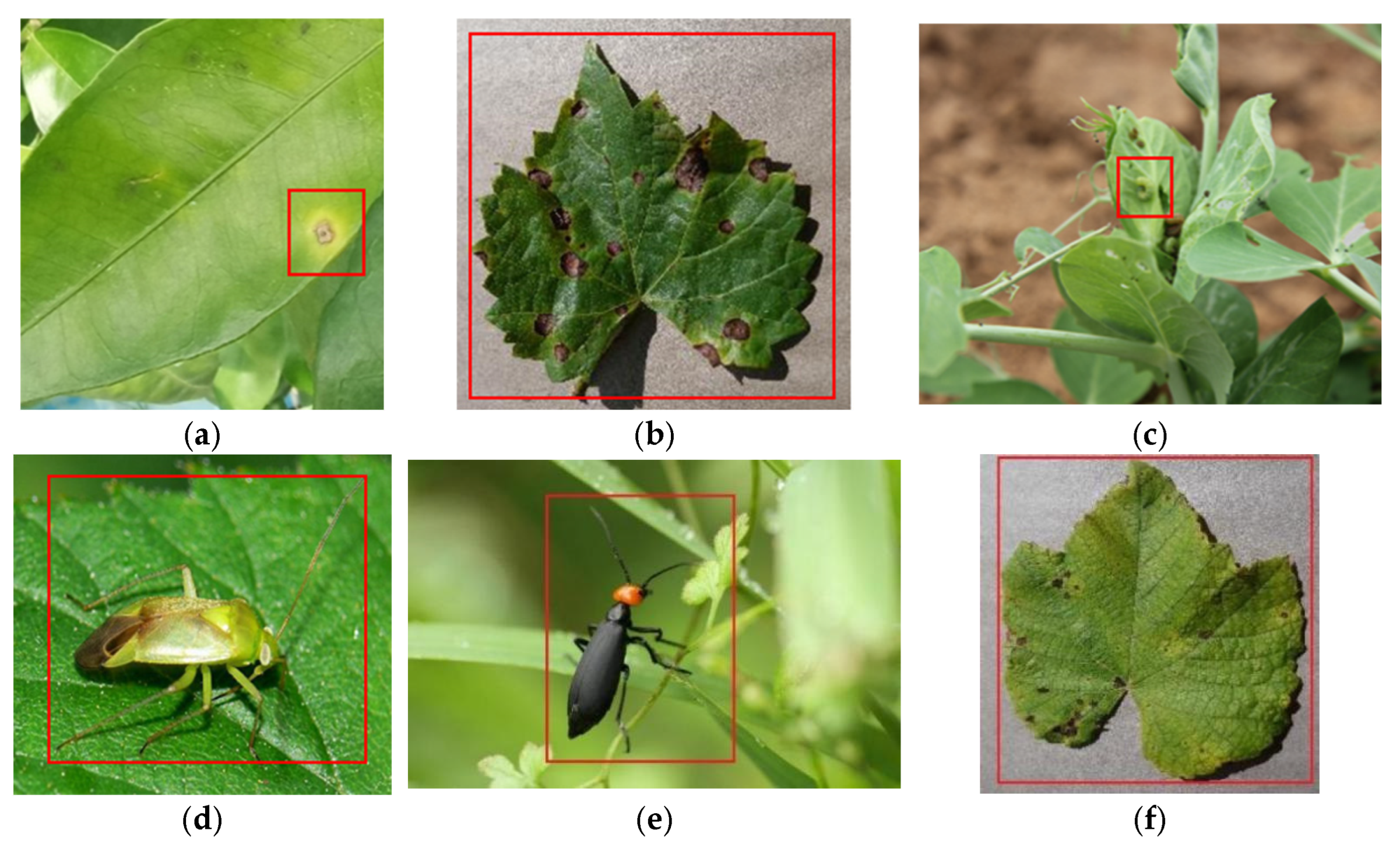 Sustainability 16 08855 g002