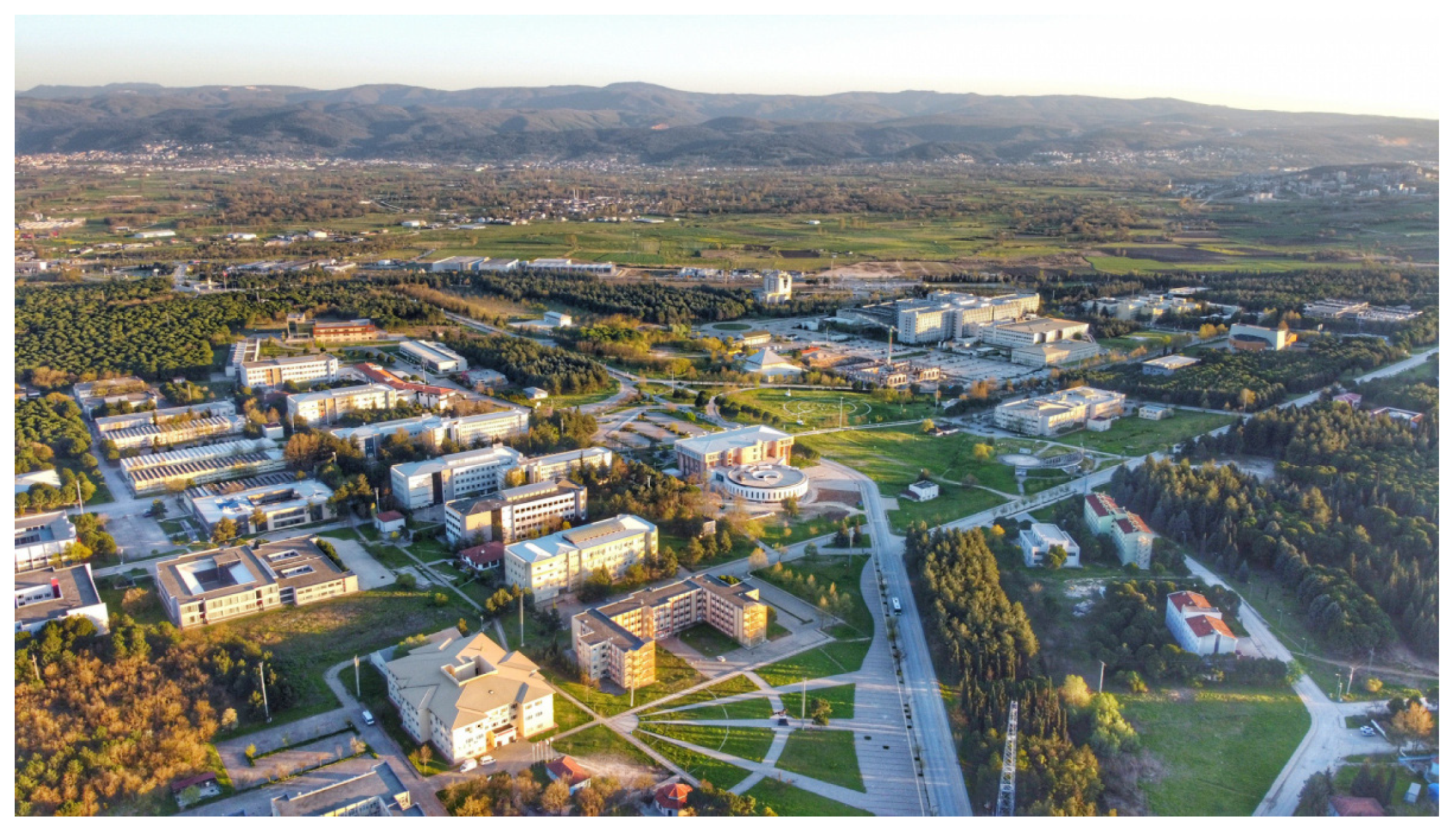 Sustainability 16 08906 g001