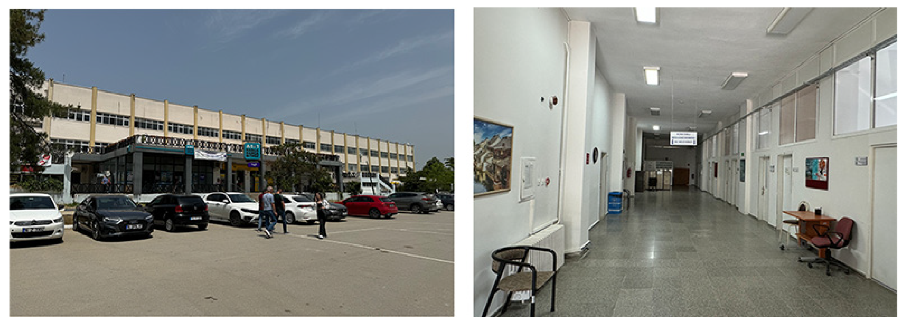 Sustainability 16 08906 g007