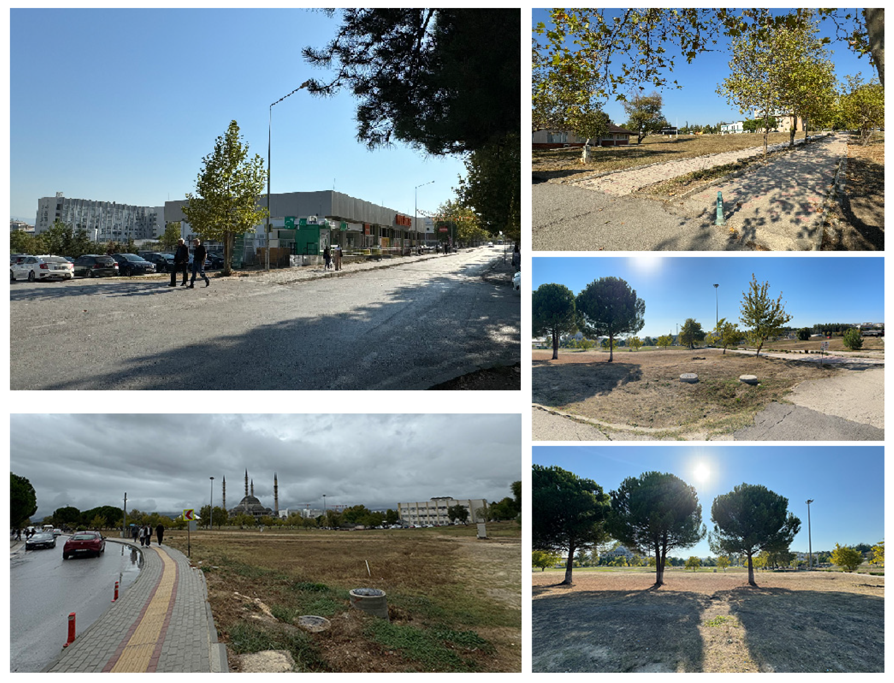 Sustainability 16 08906 g009