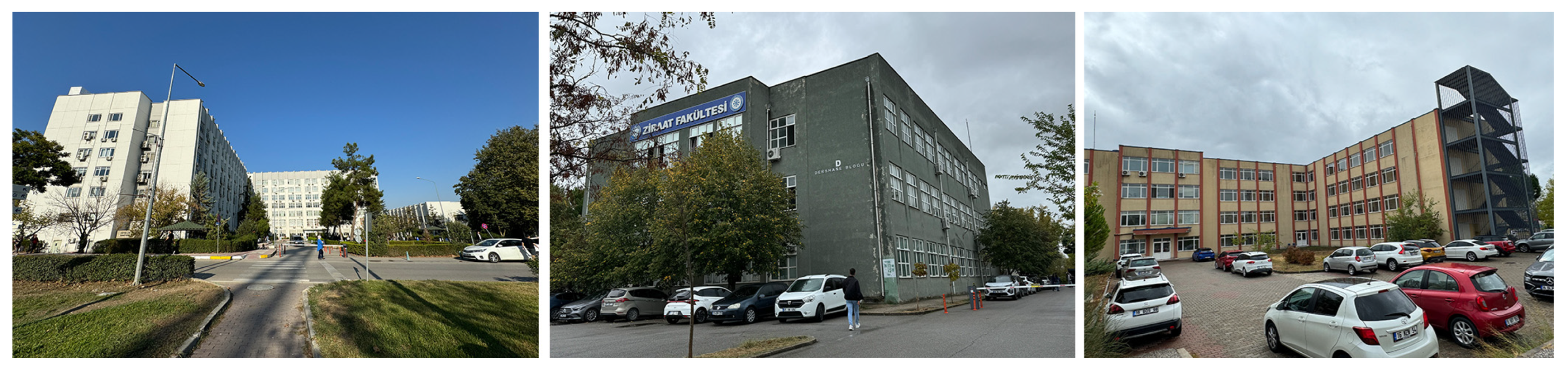 Sustainability 16 08906 g012