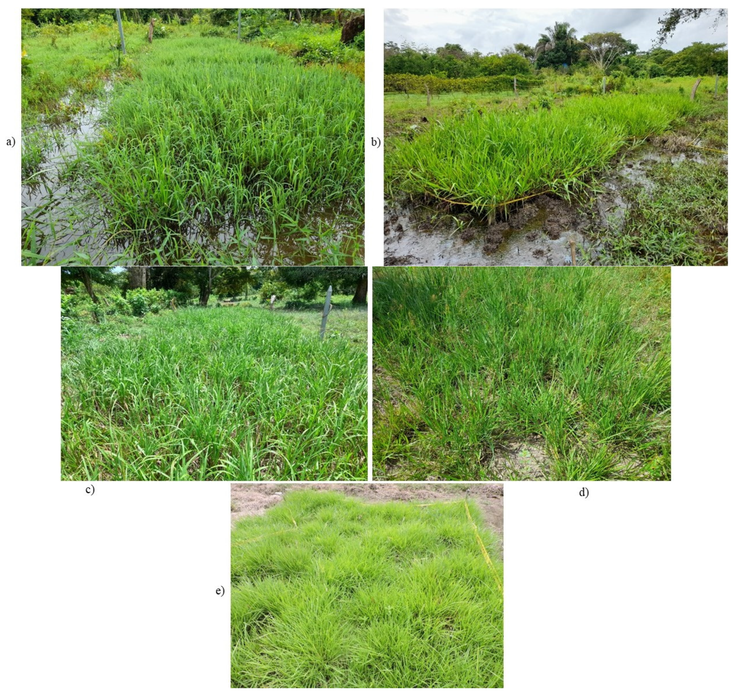 Sustainability 16 08915 g002 Sustainability 16 08915 g002