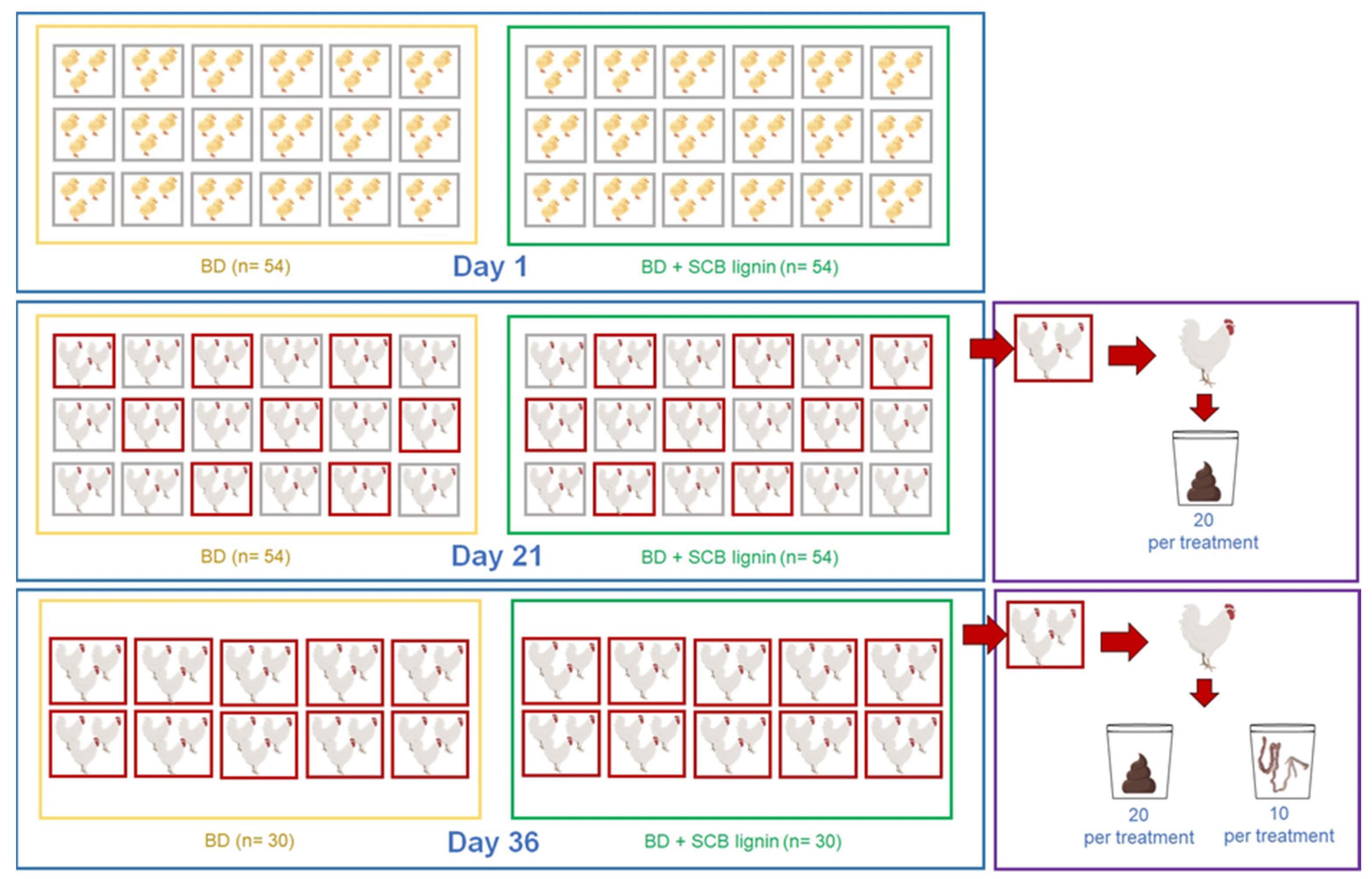 Sustainability 16 08946 g001
