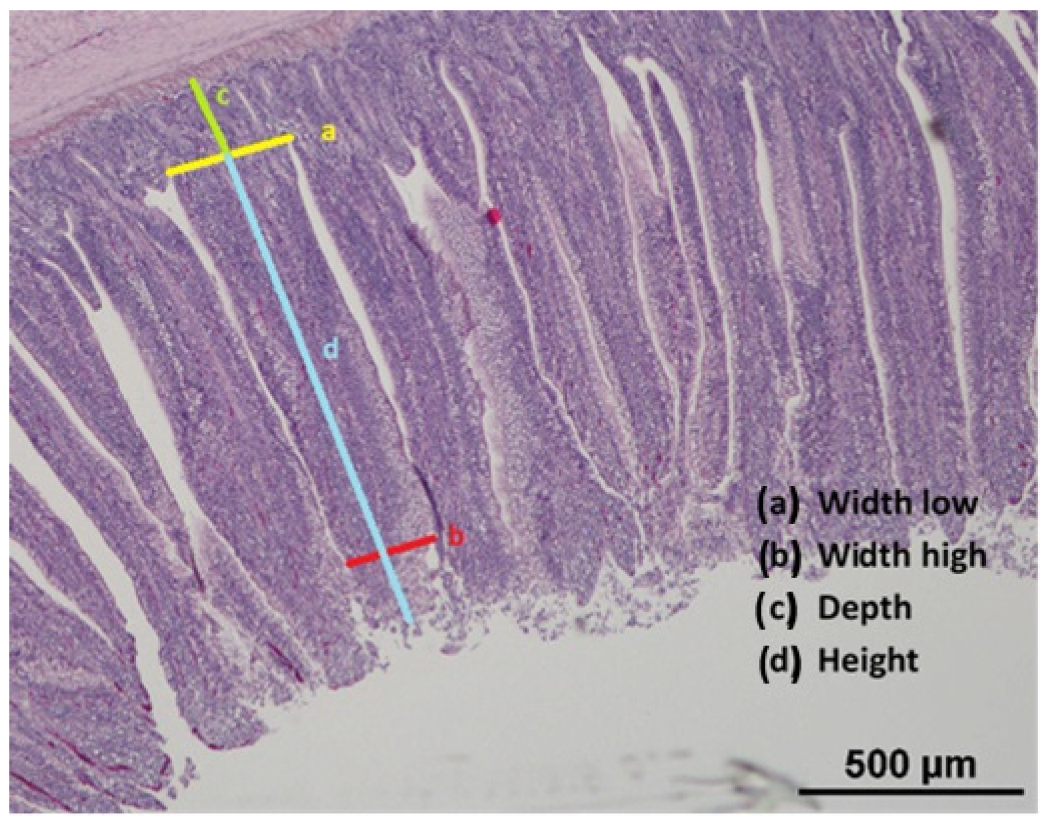Sustainability 16 08946 g002