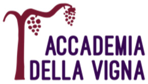 Sustainability 16 08960 i004