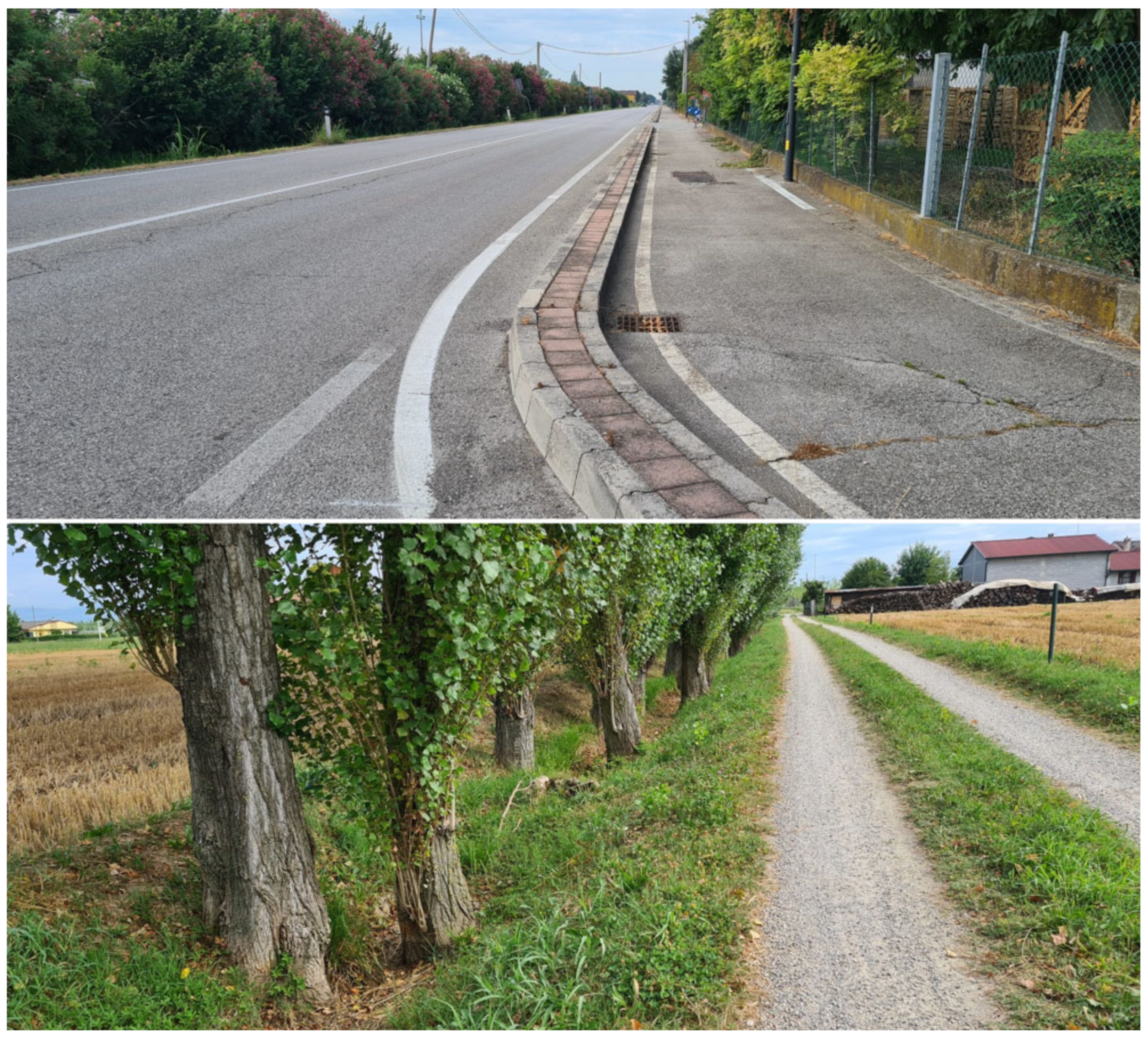 Sustainability 16 08962 g008