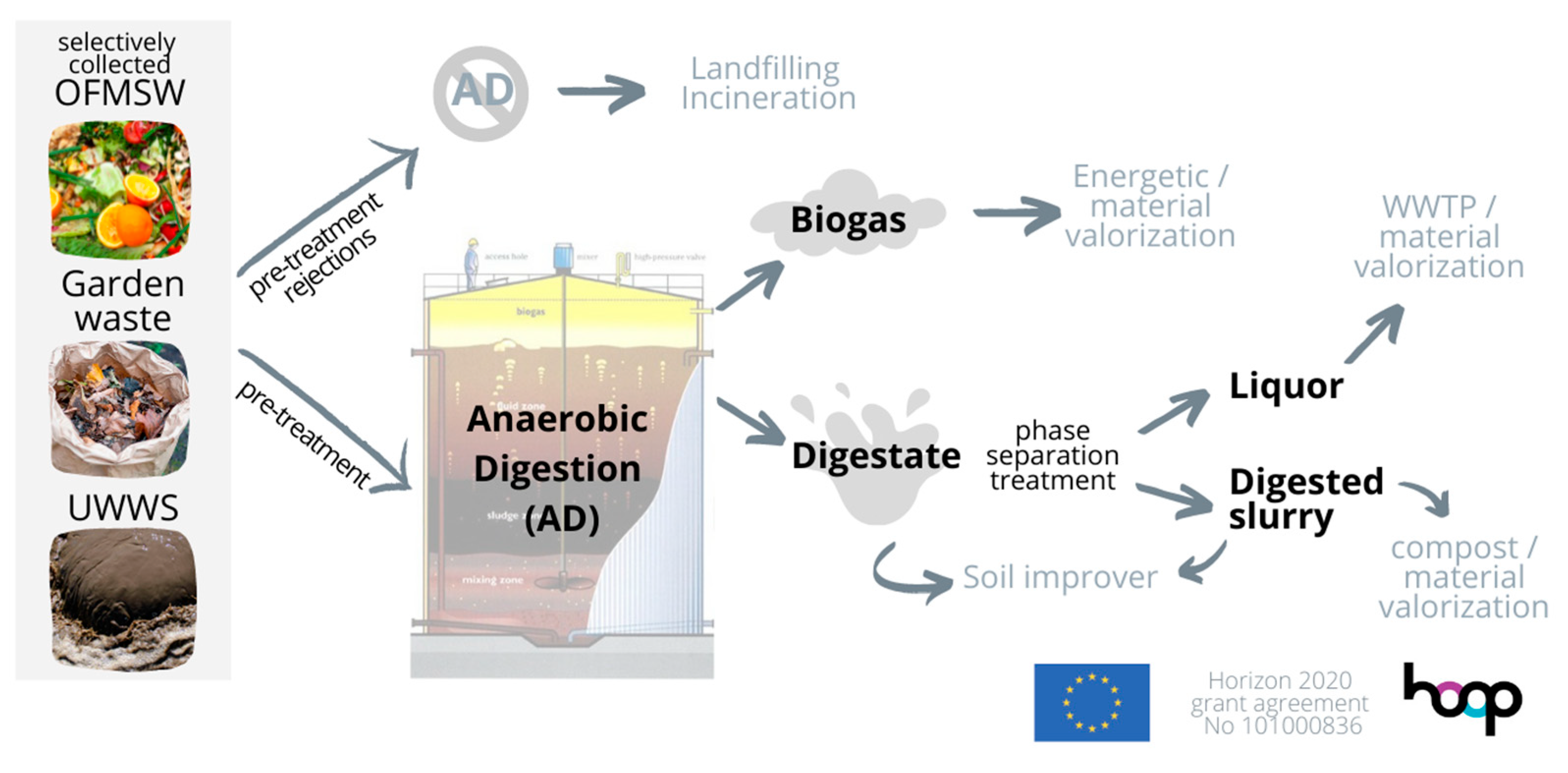 Sustainability 16 08963 g001