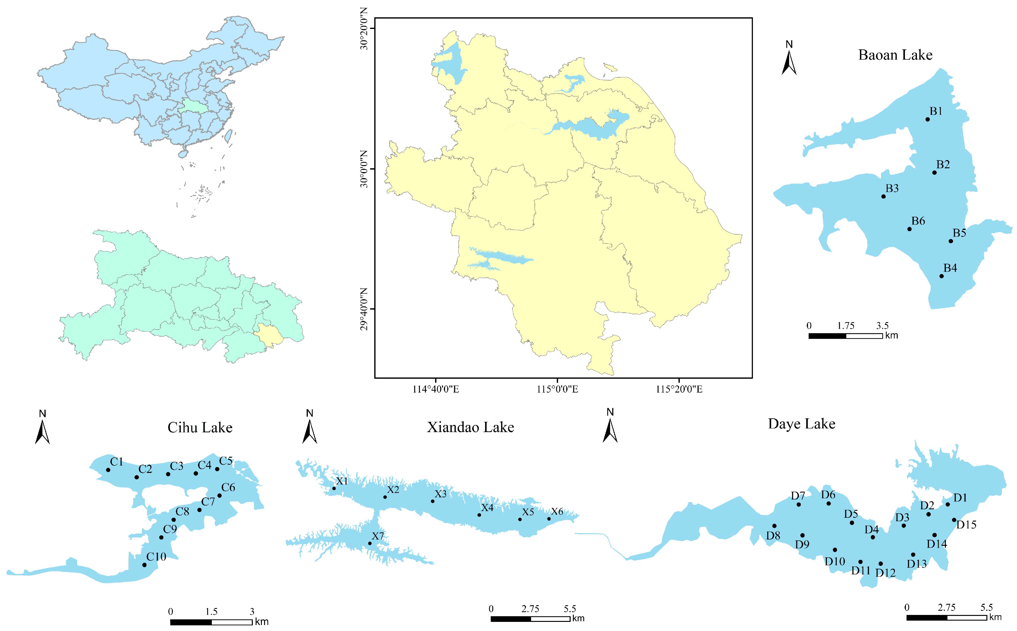 Sustainability 16 08964 g001