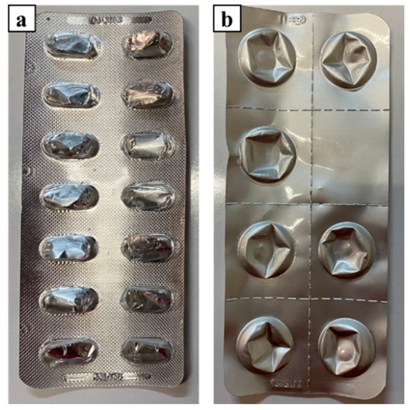 Sustainability 16 08968 g001 Sustainability 16 08968 g001