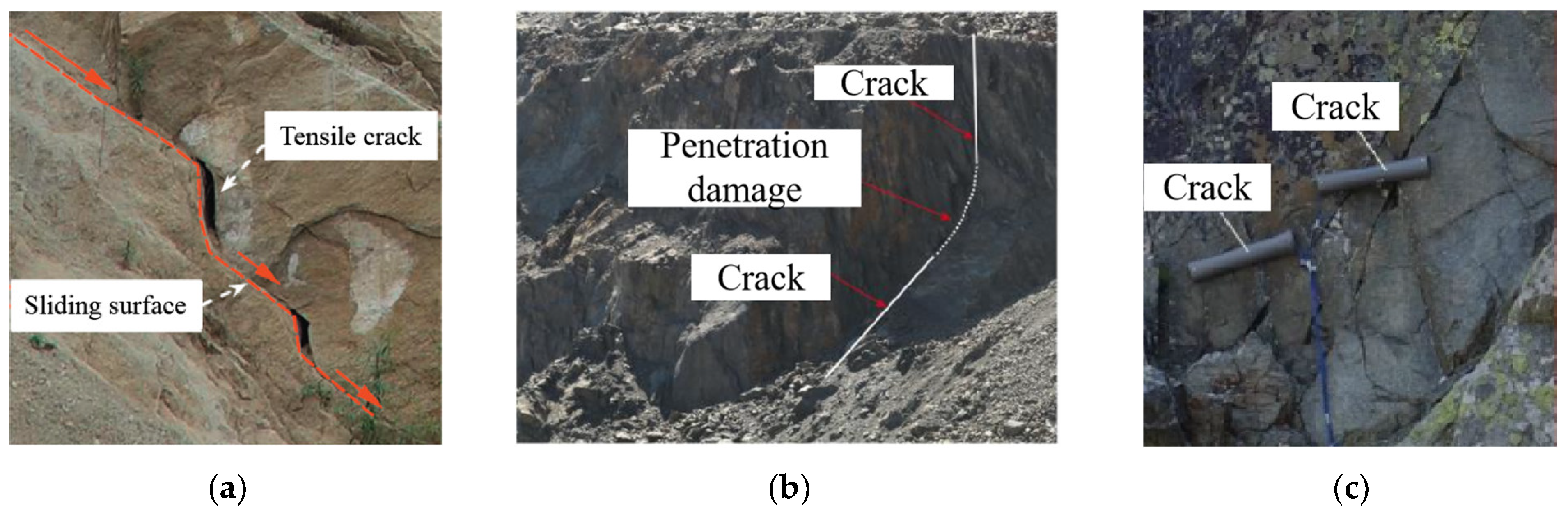 Sustainability 16 09000 g001