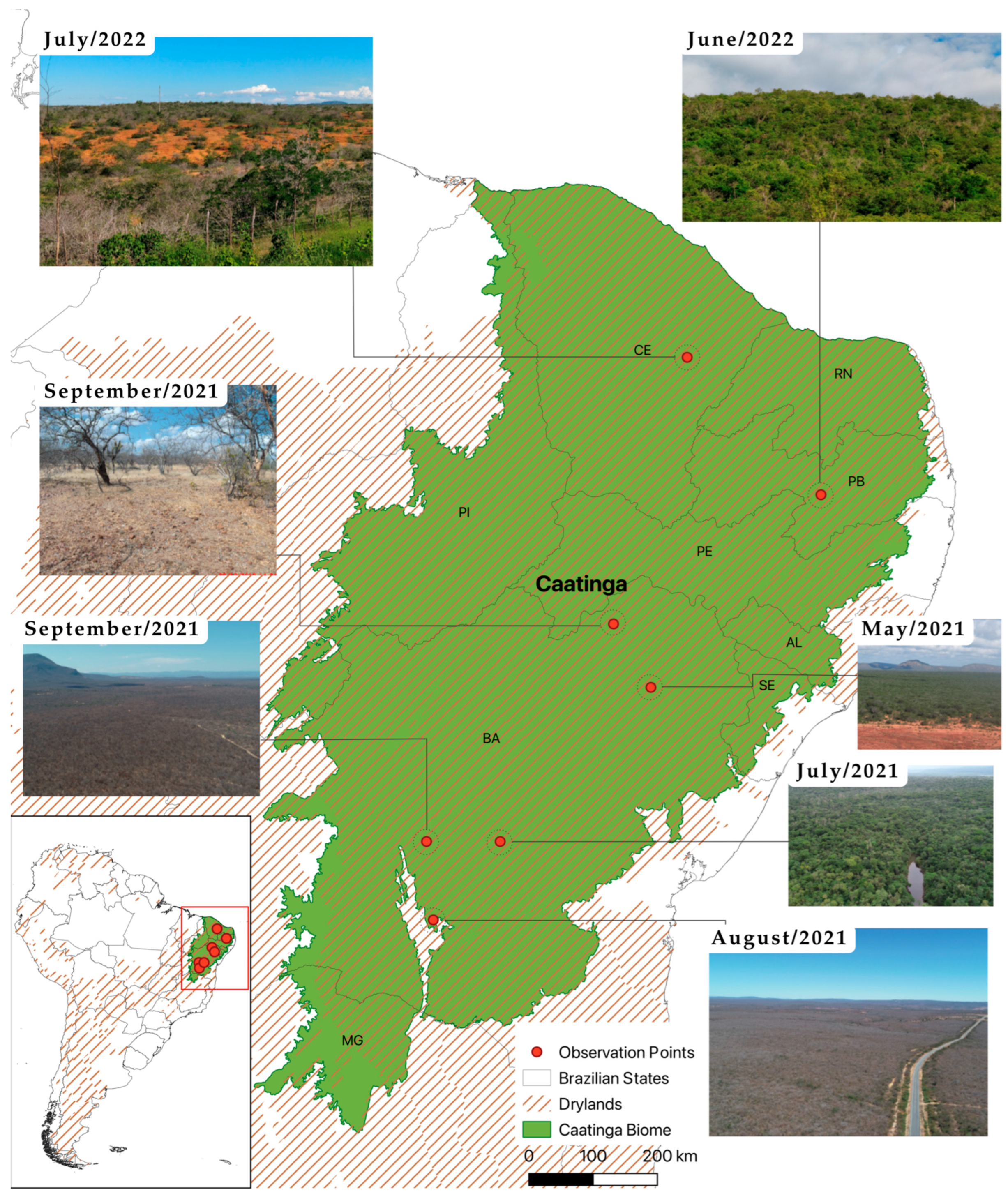 Sustainability 16 09006 g001