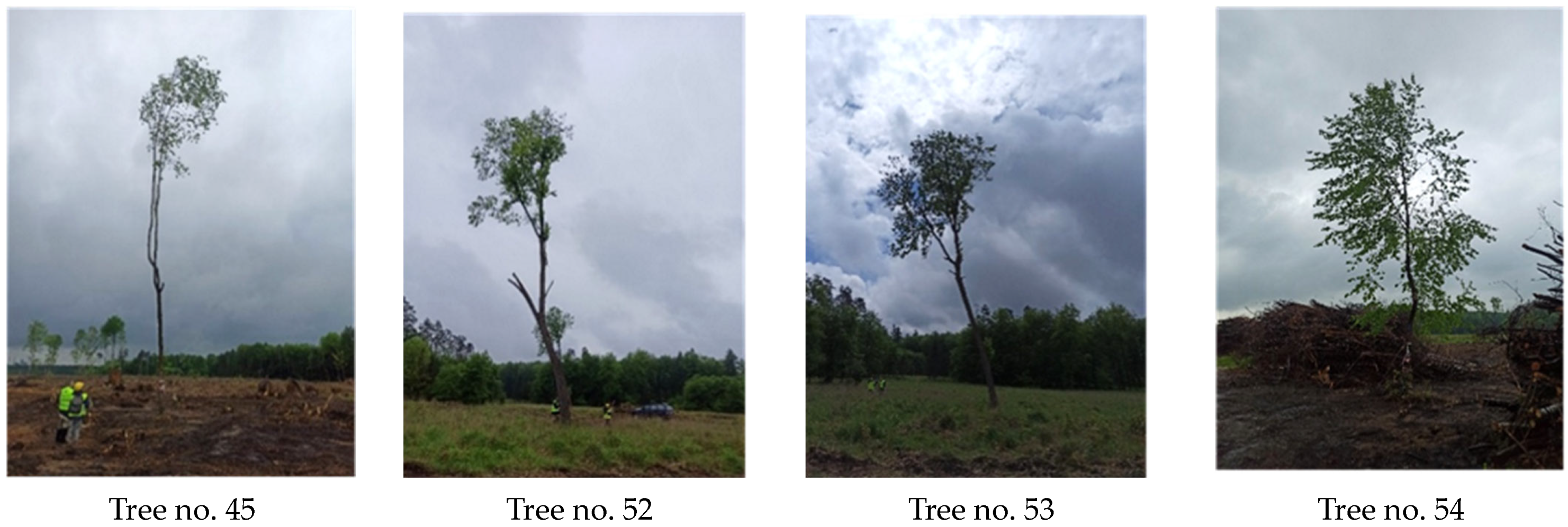 Sustainability 16 09037 g002